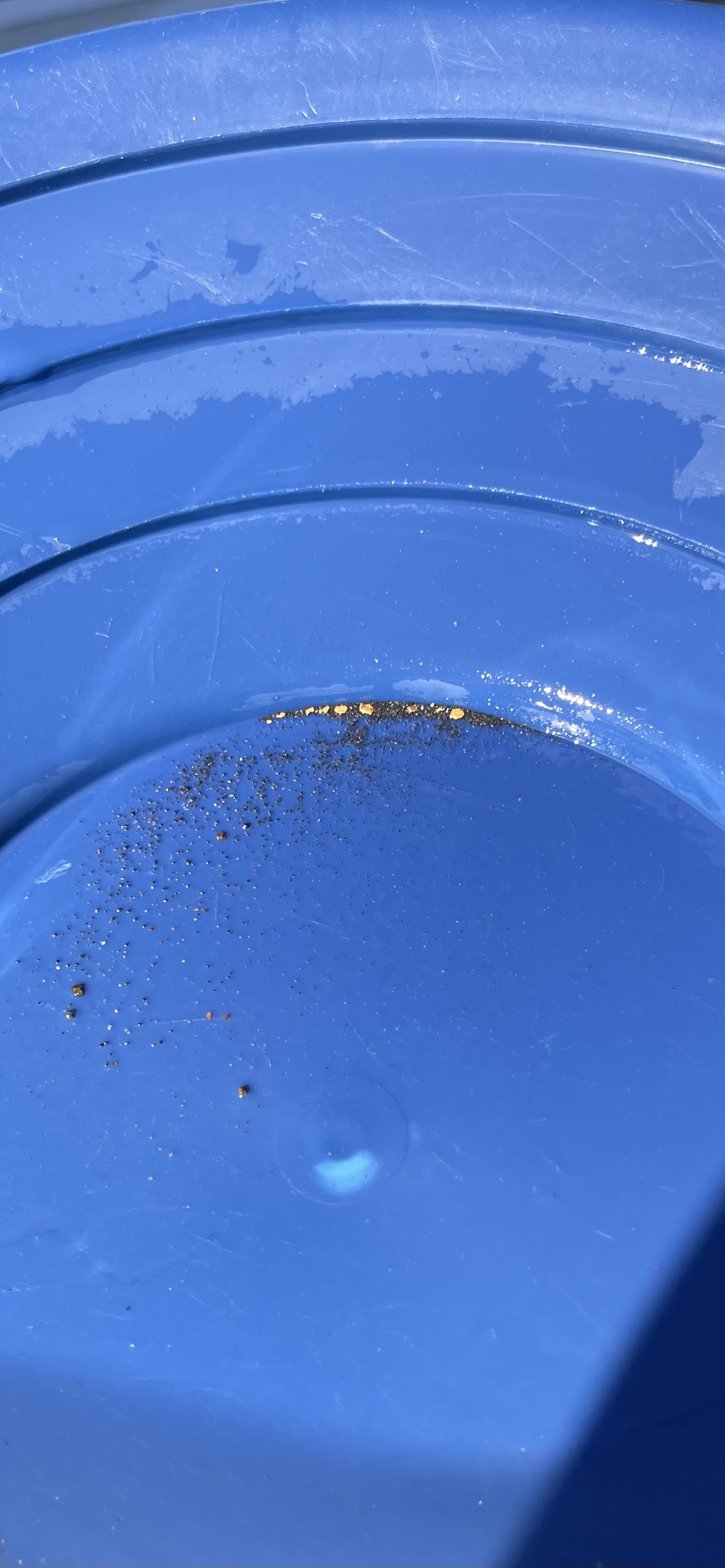 Member content 22 of 25