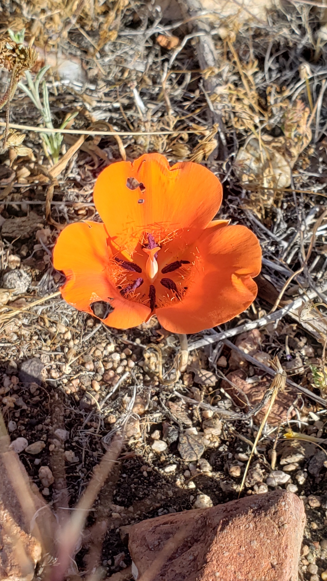 Member content 39 of 97