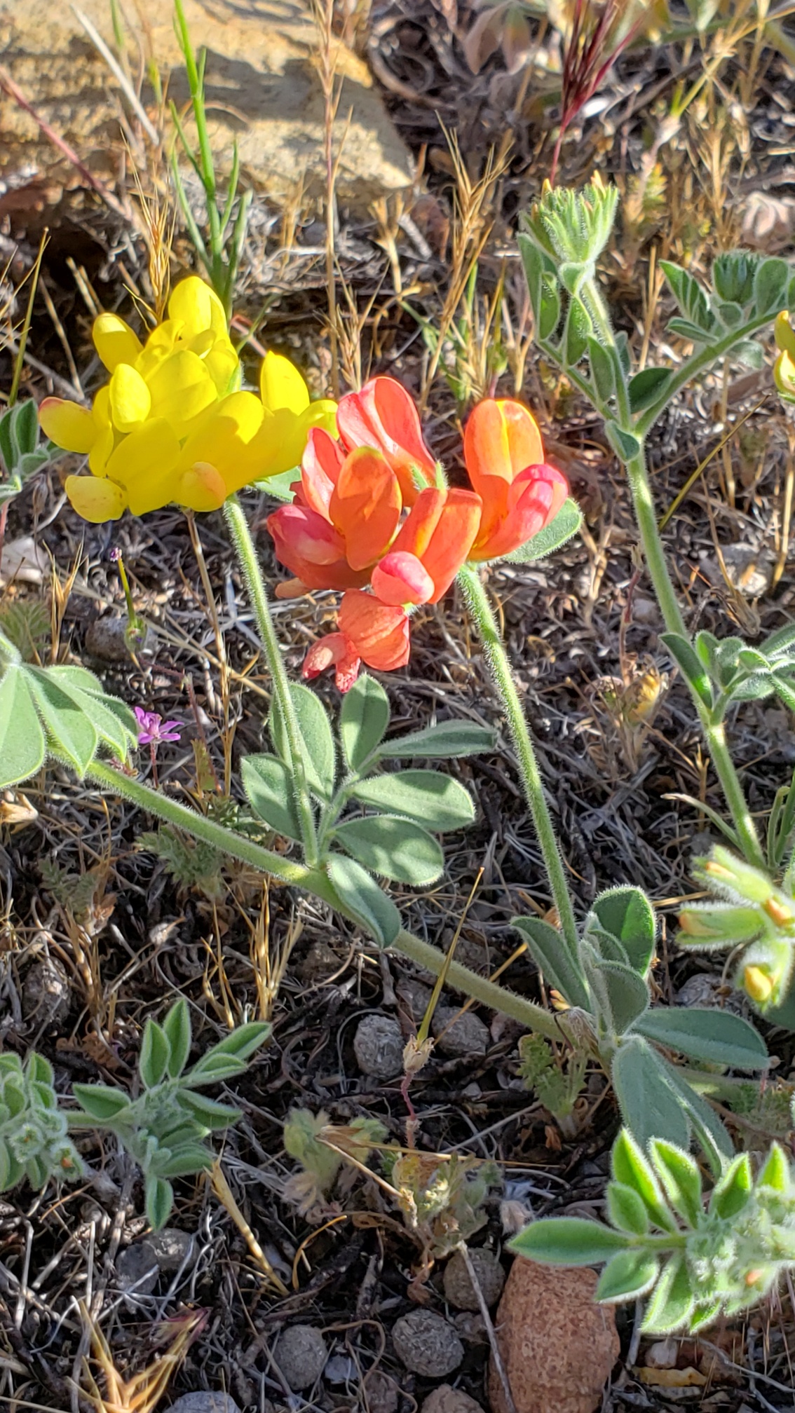 Member content 40 of 97