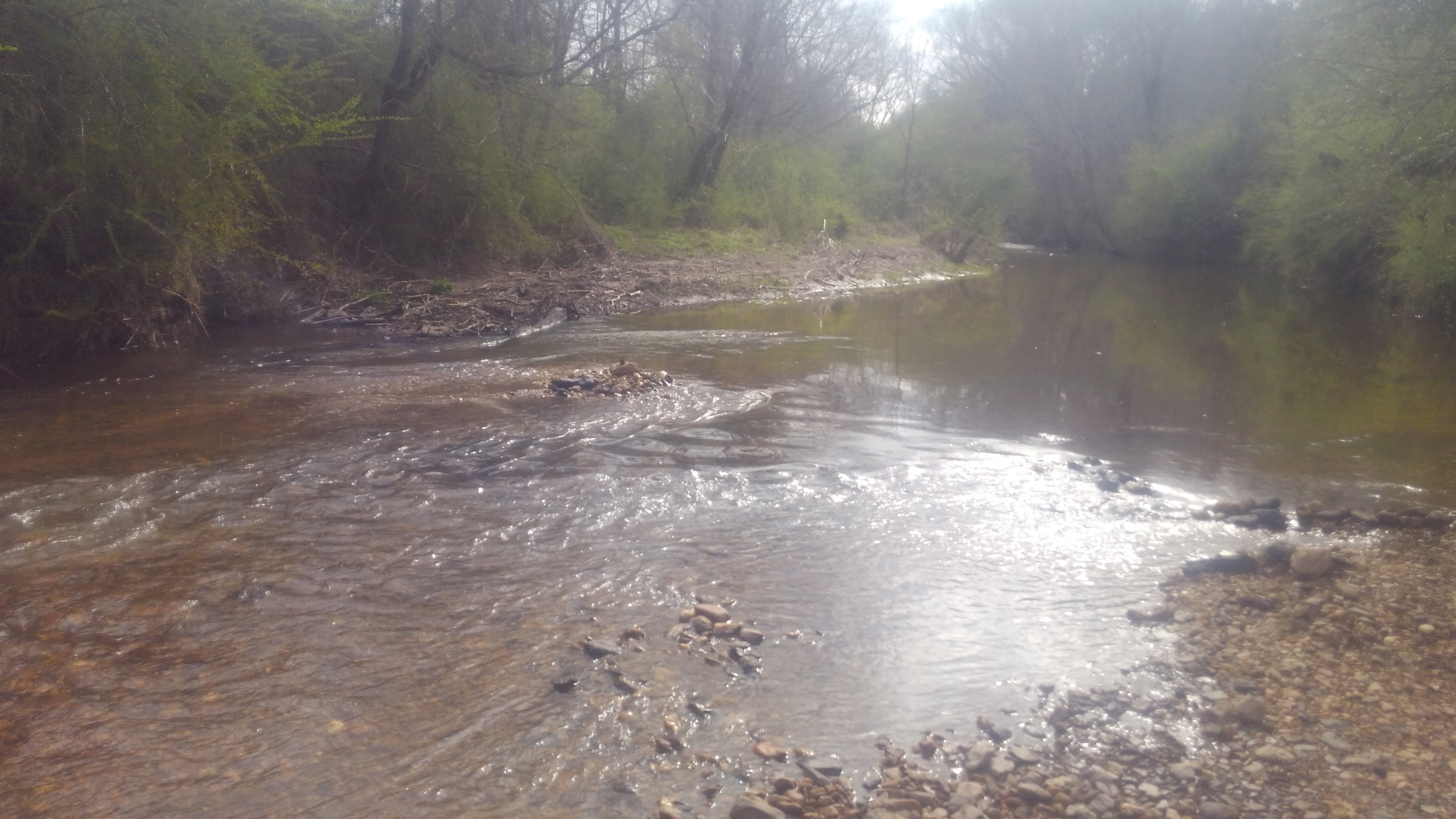 Member content 5 of 21