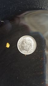 Member content 19 of 41