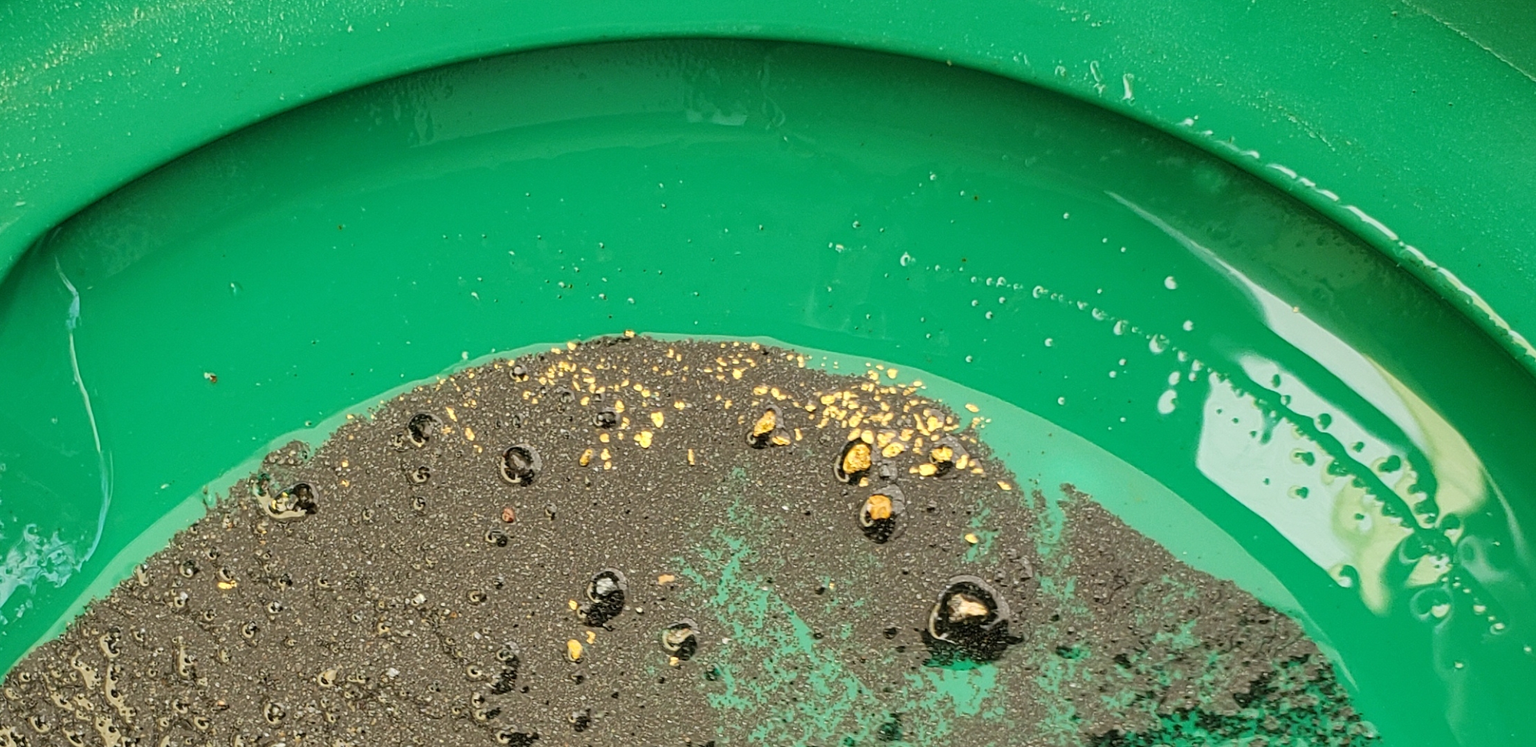 Member content 191 of 206