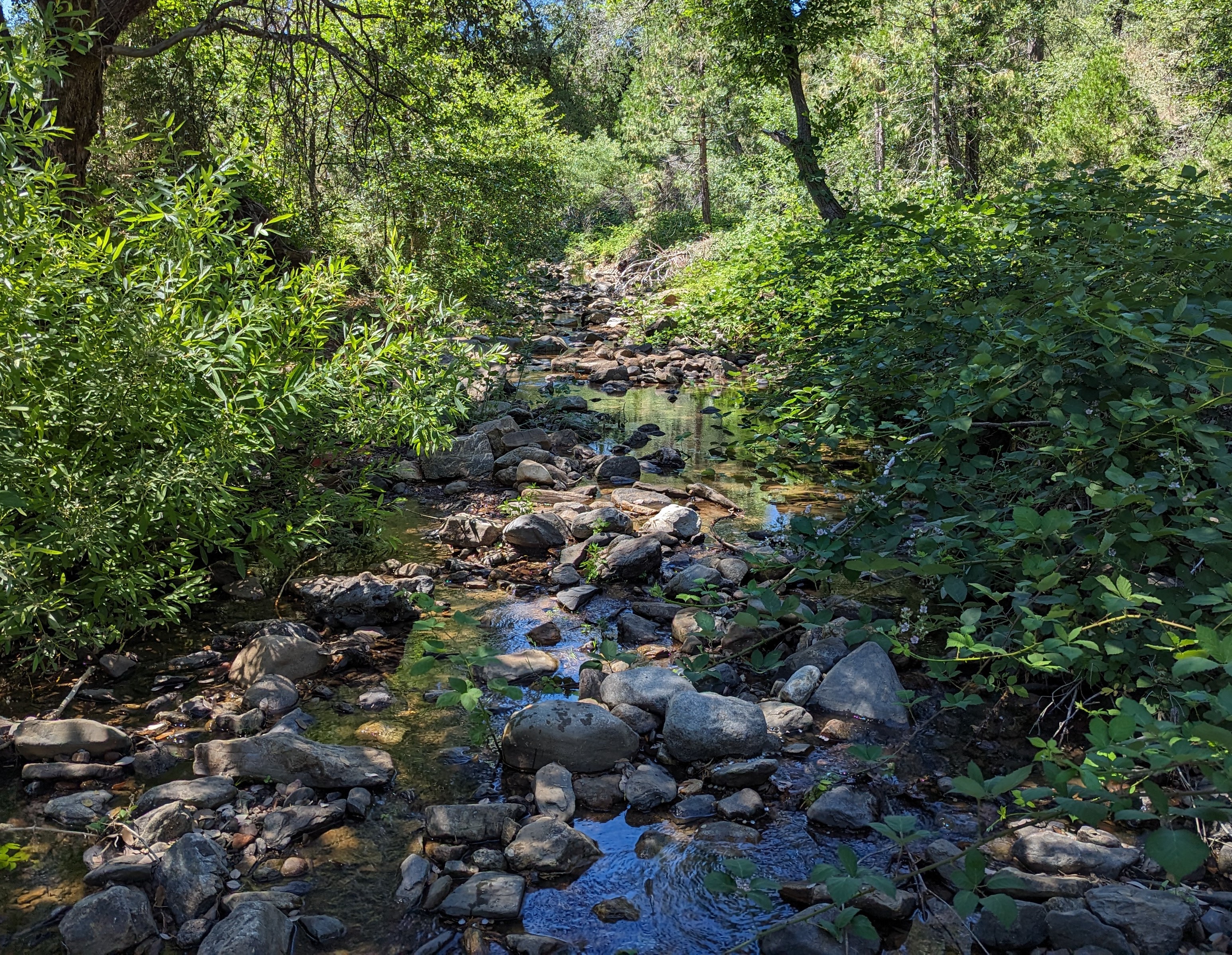 Member content 13 of 15