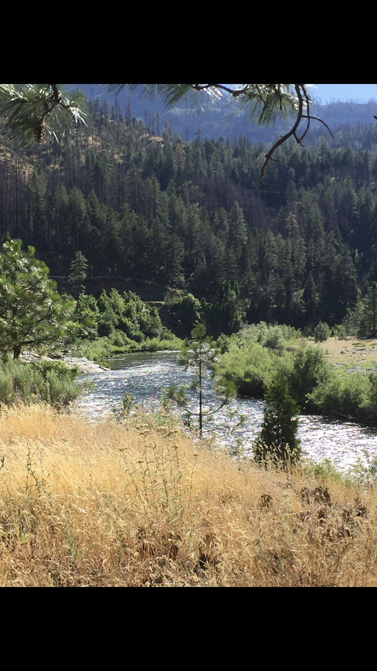 Member content 3 of 4