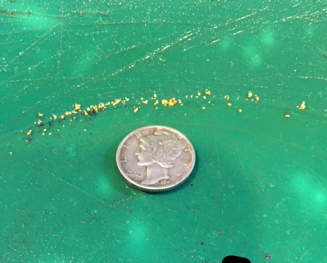 Member content 1 of 5