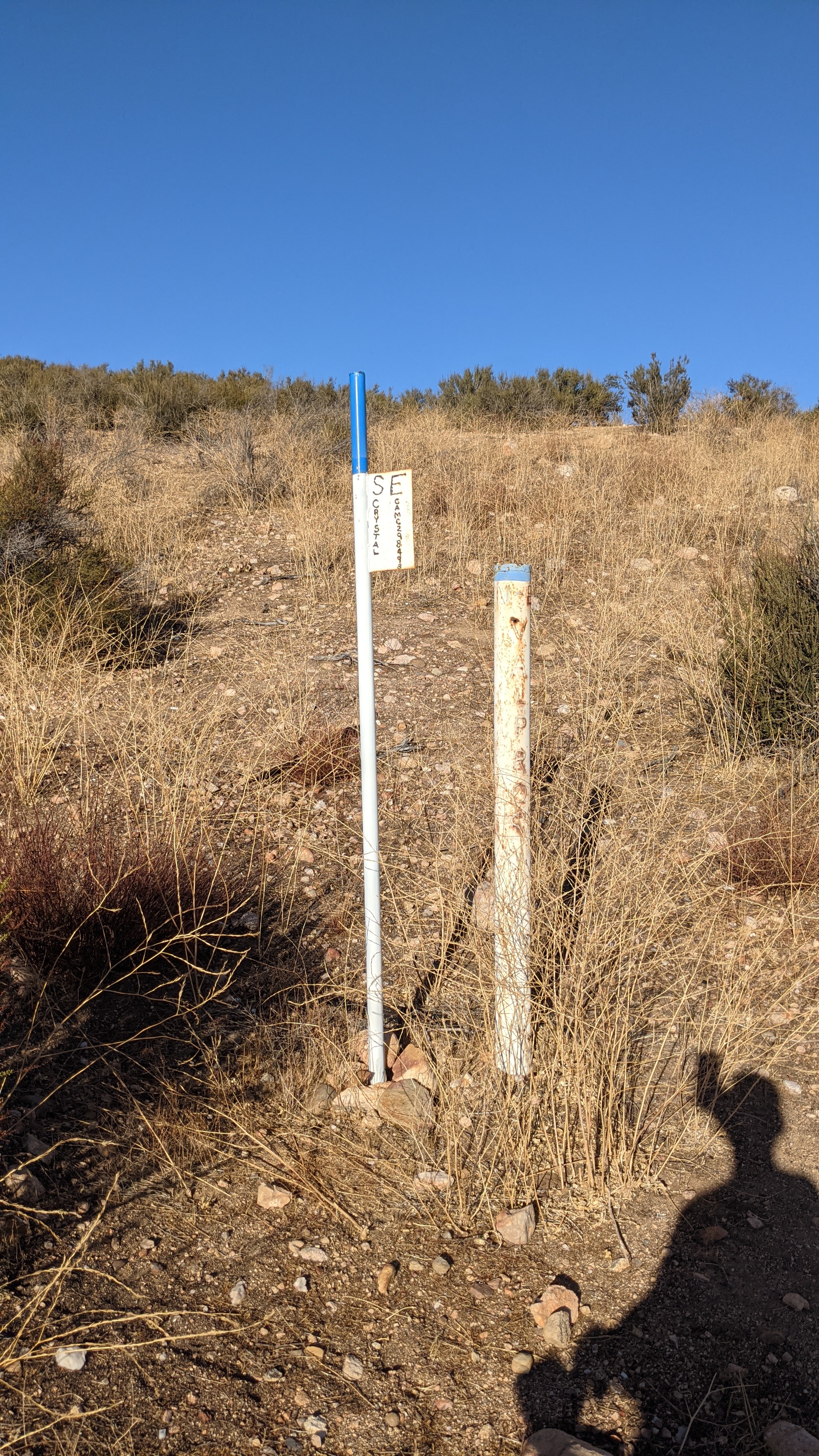 Member content 24 of 97