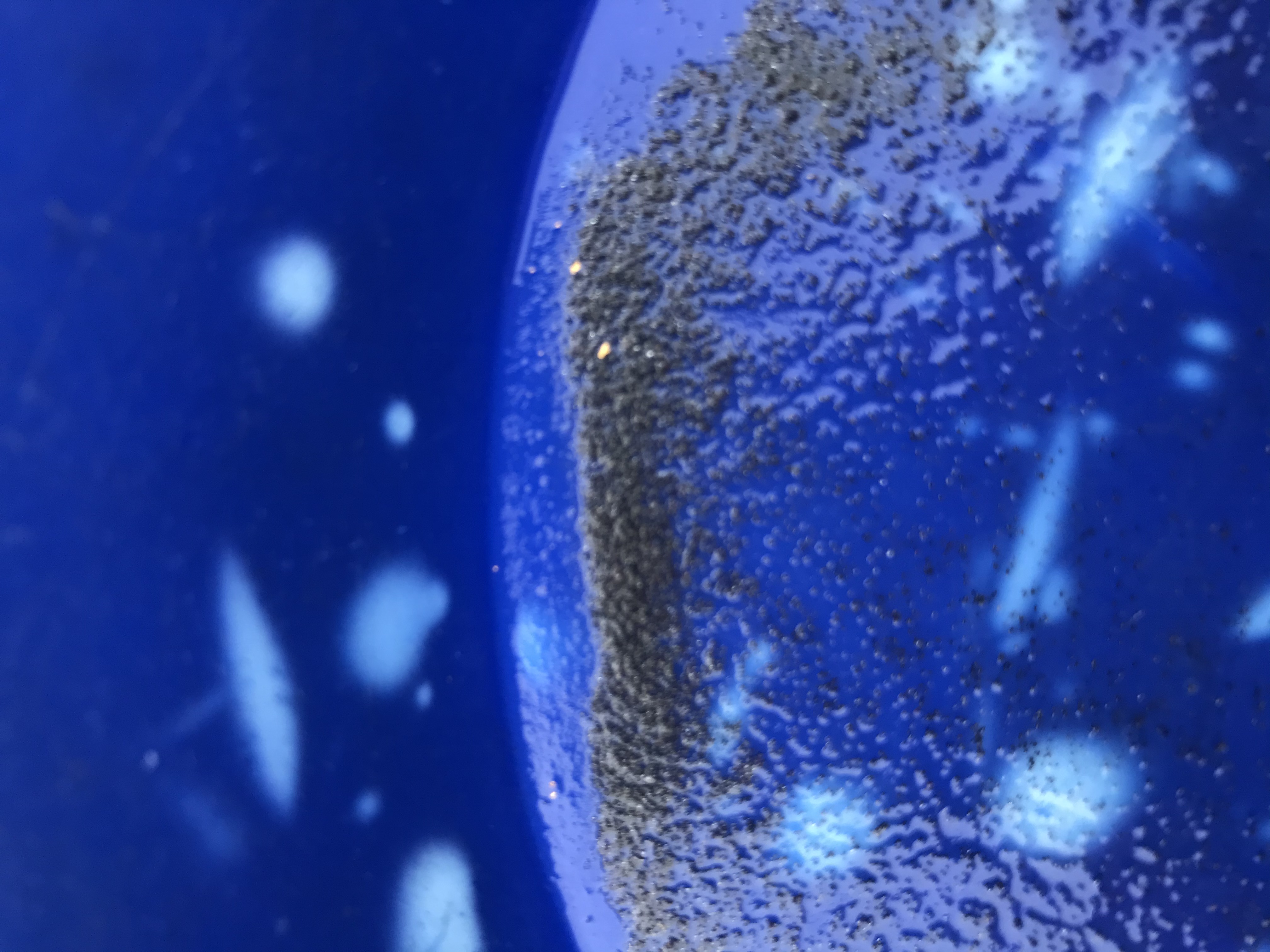 Member content 3 of 15