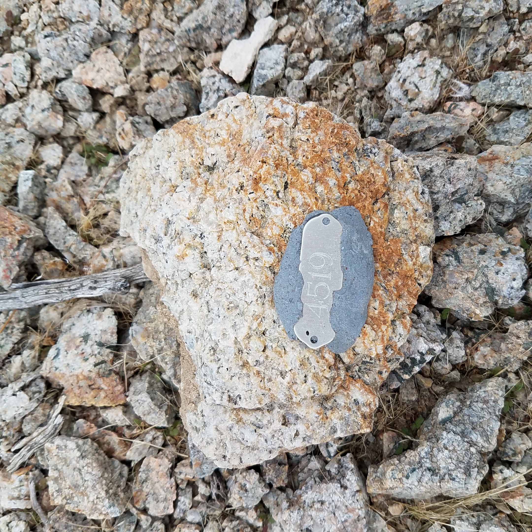 Member content 32 of 206