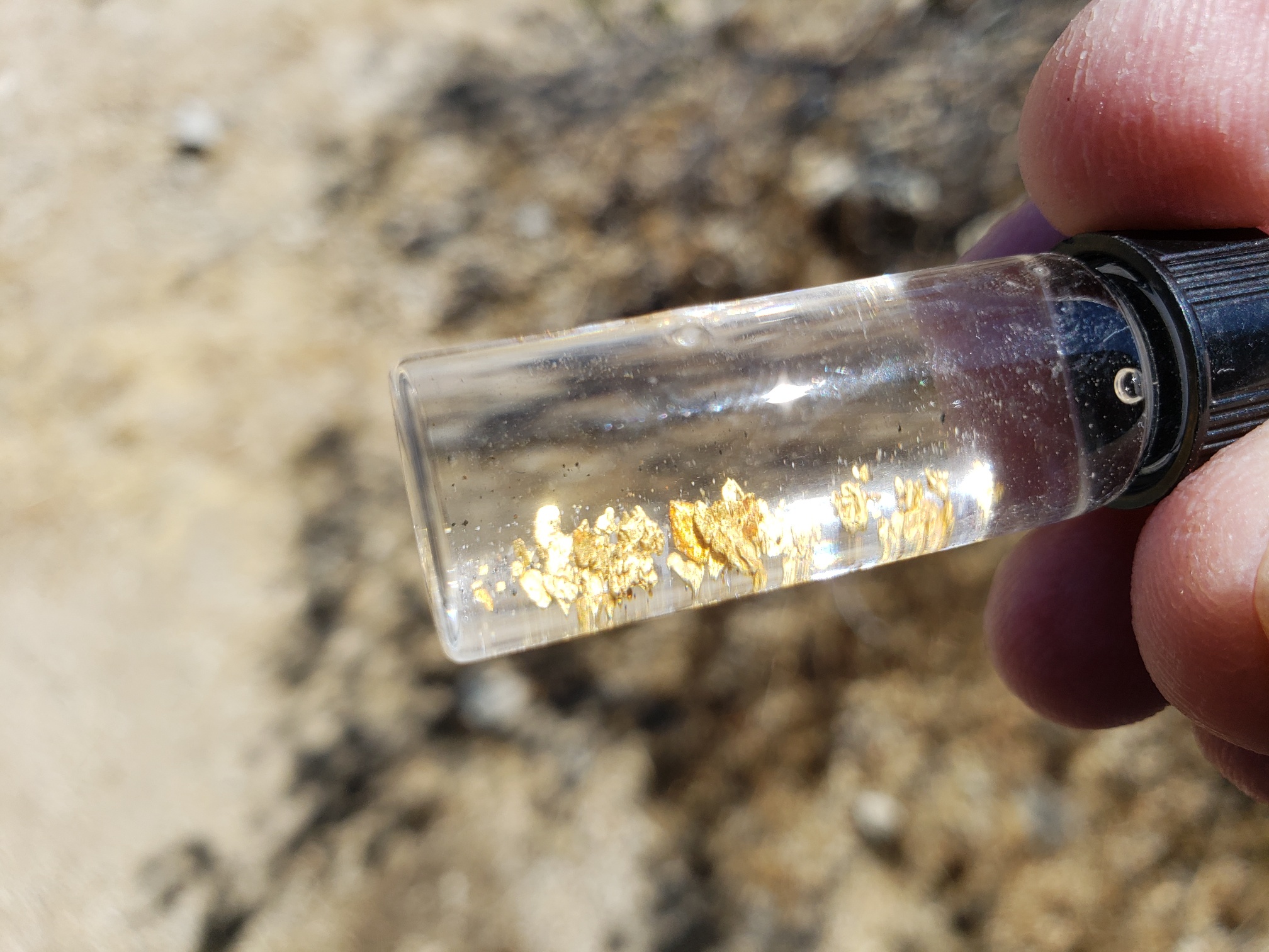 Member content 18 of 206