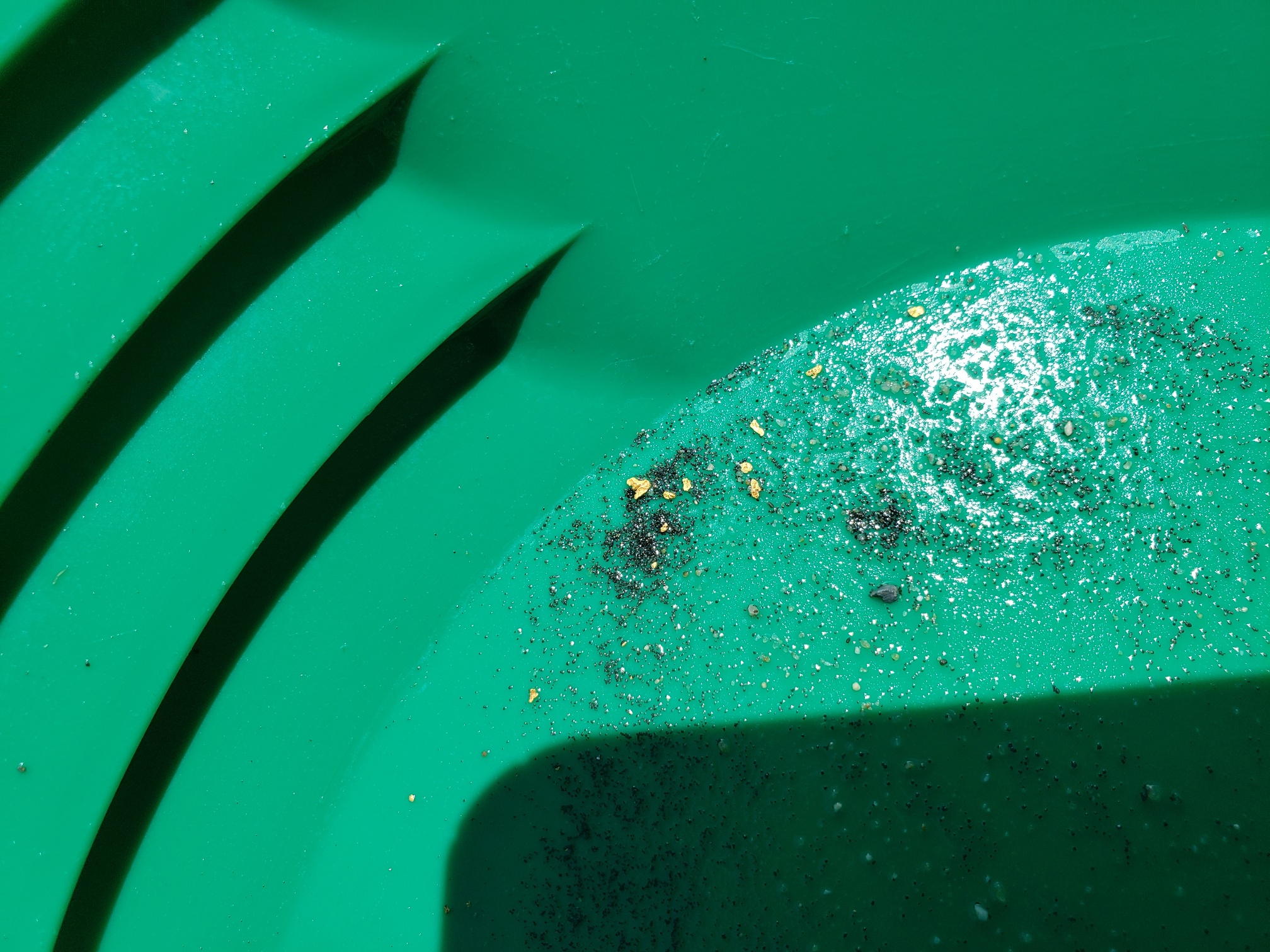 Member content 21 of 206