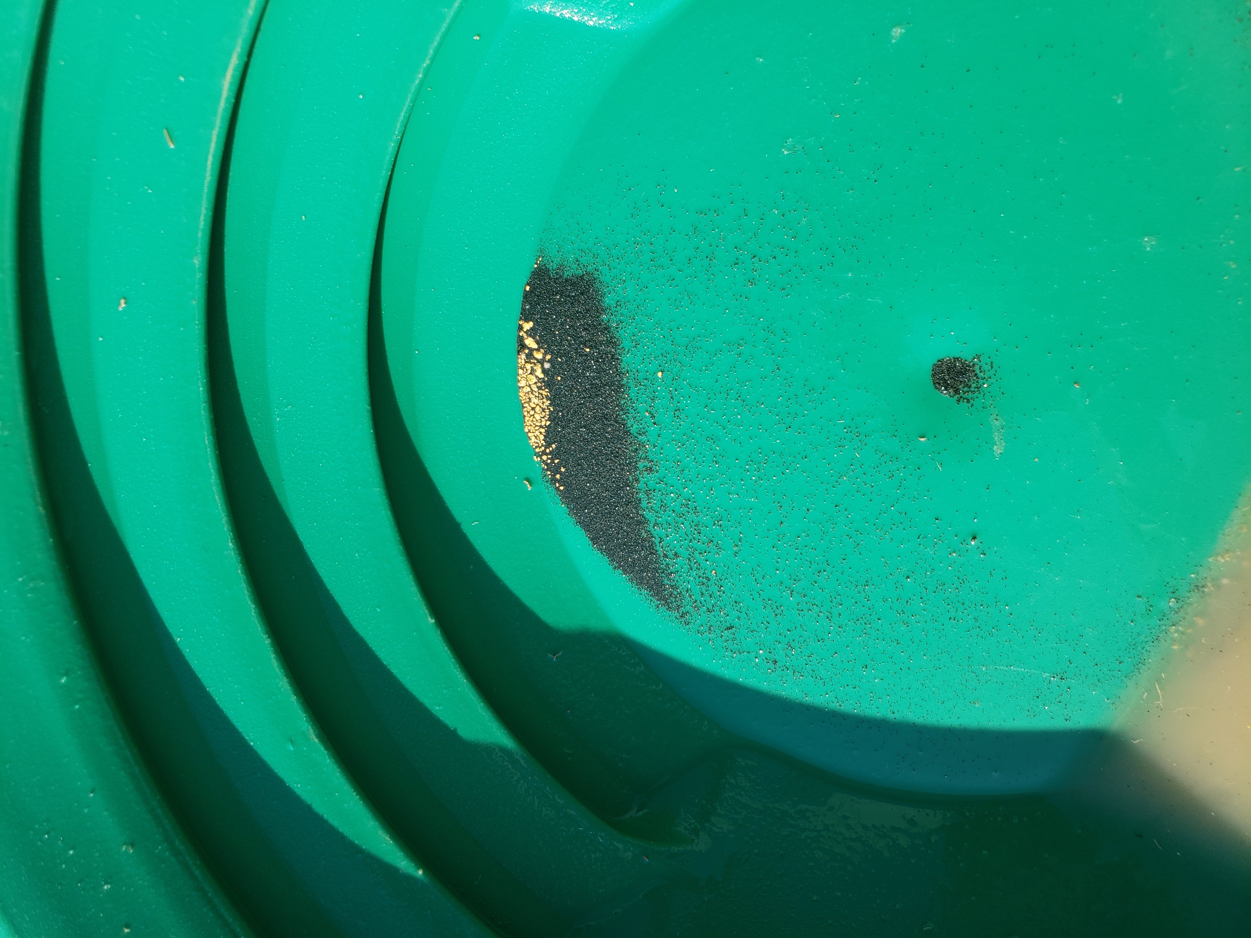 Member content 84 of 206