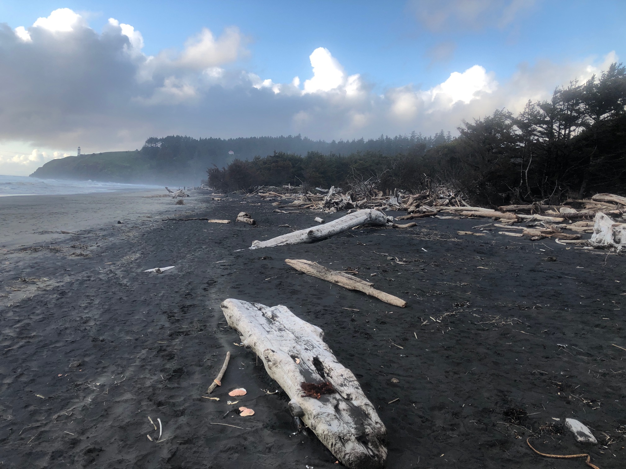 Member content 7 of 13