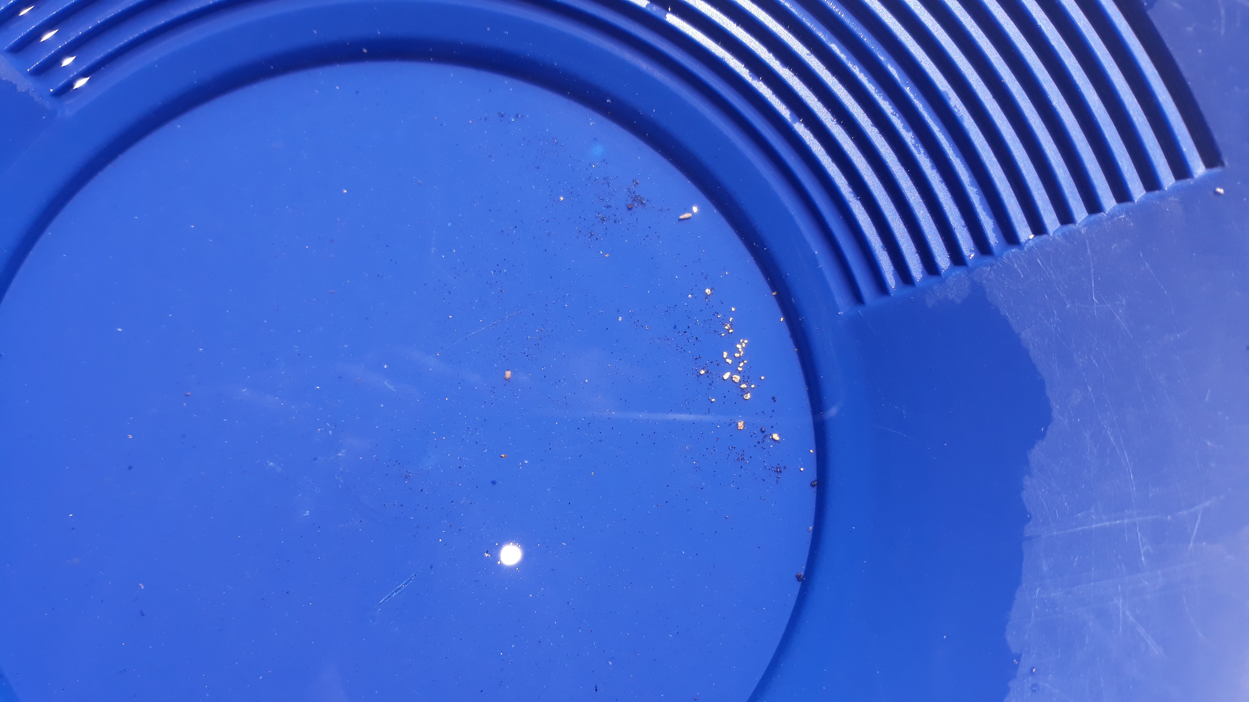 Member content 125 of 206