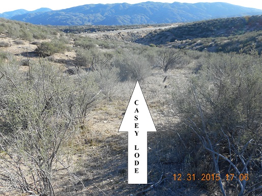 Member content 6 of 97