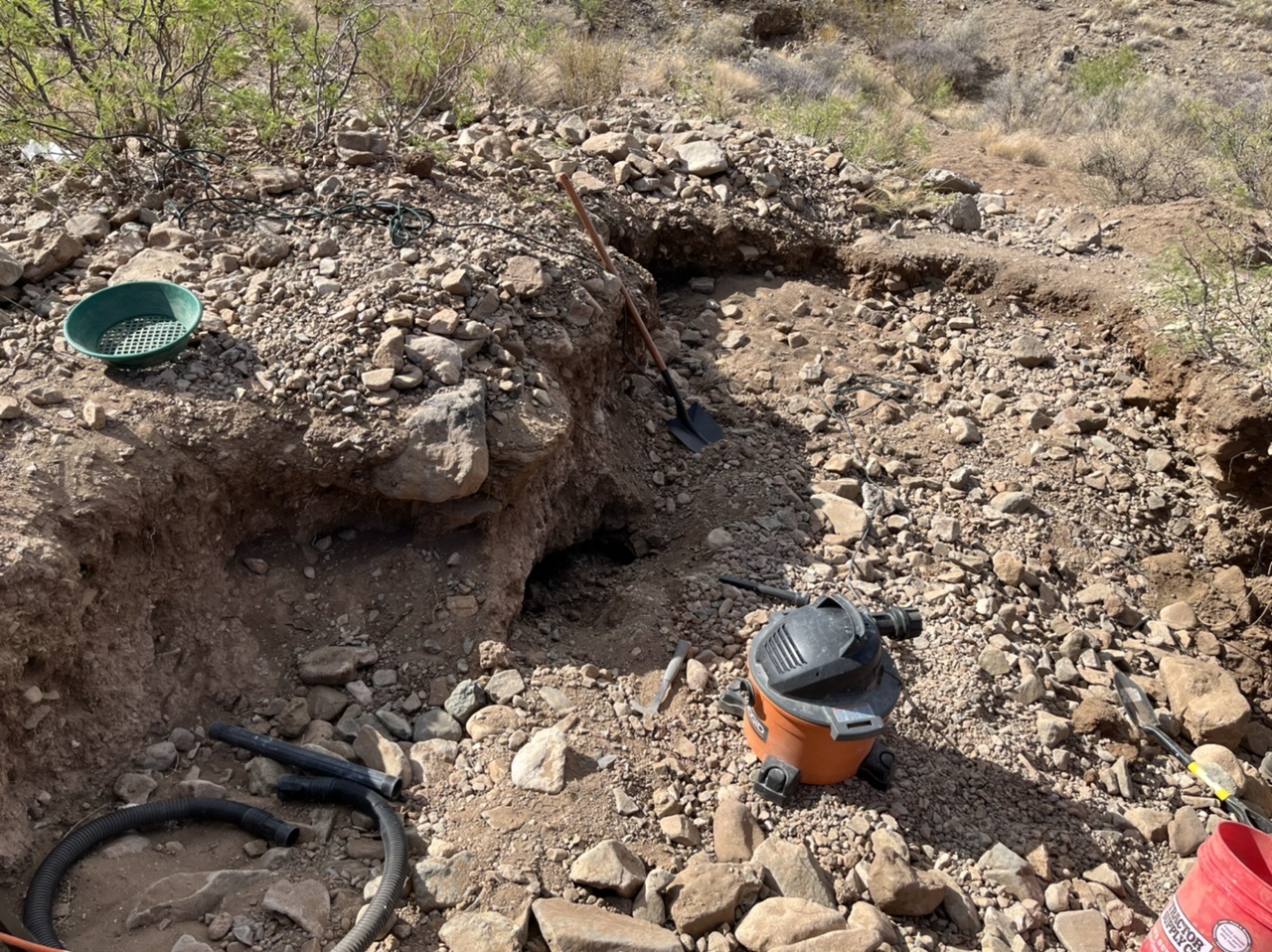 Member content 12 of 21