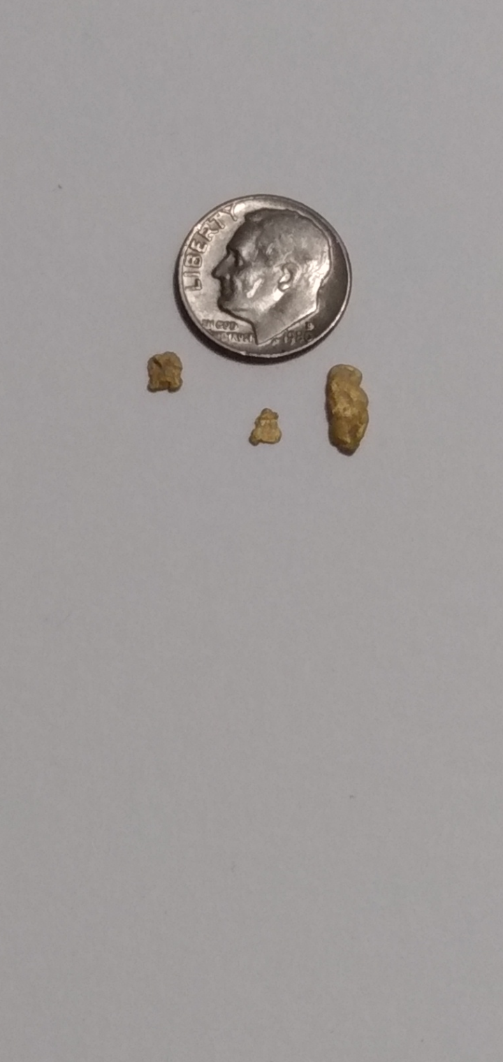 Member content 100 of 206