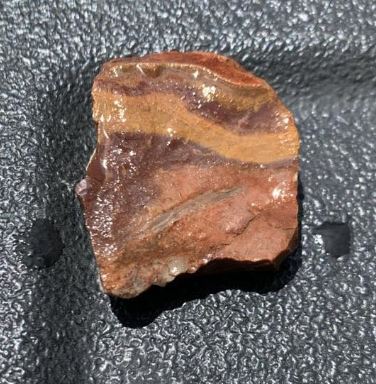 Member content 2 of 4