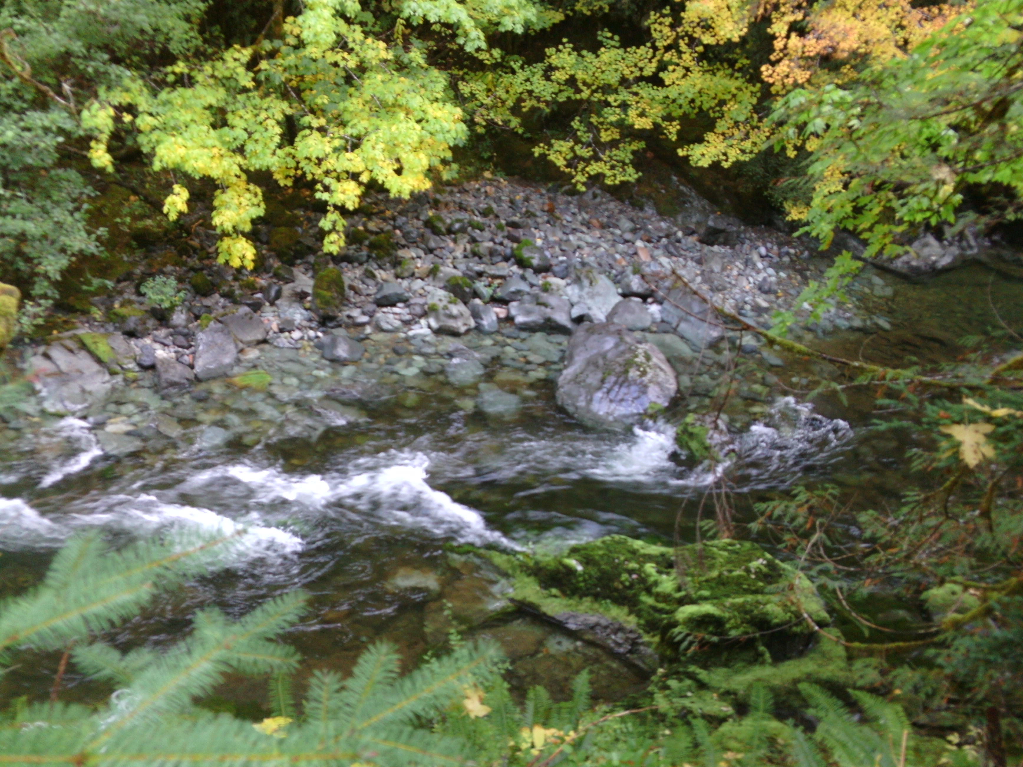 Member content 1 of 9