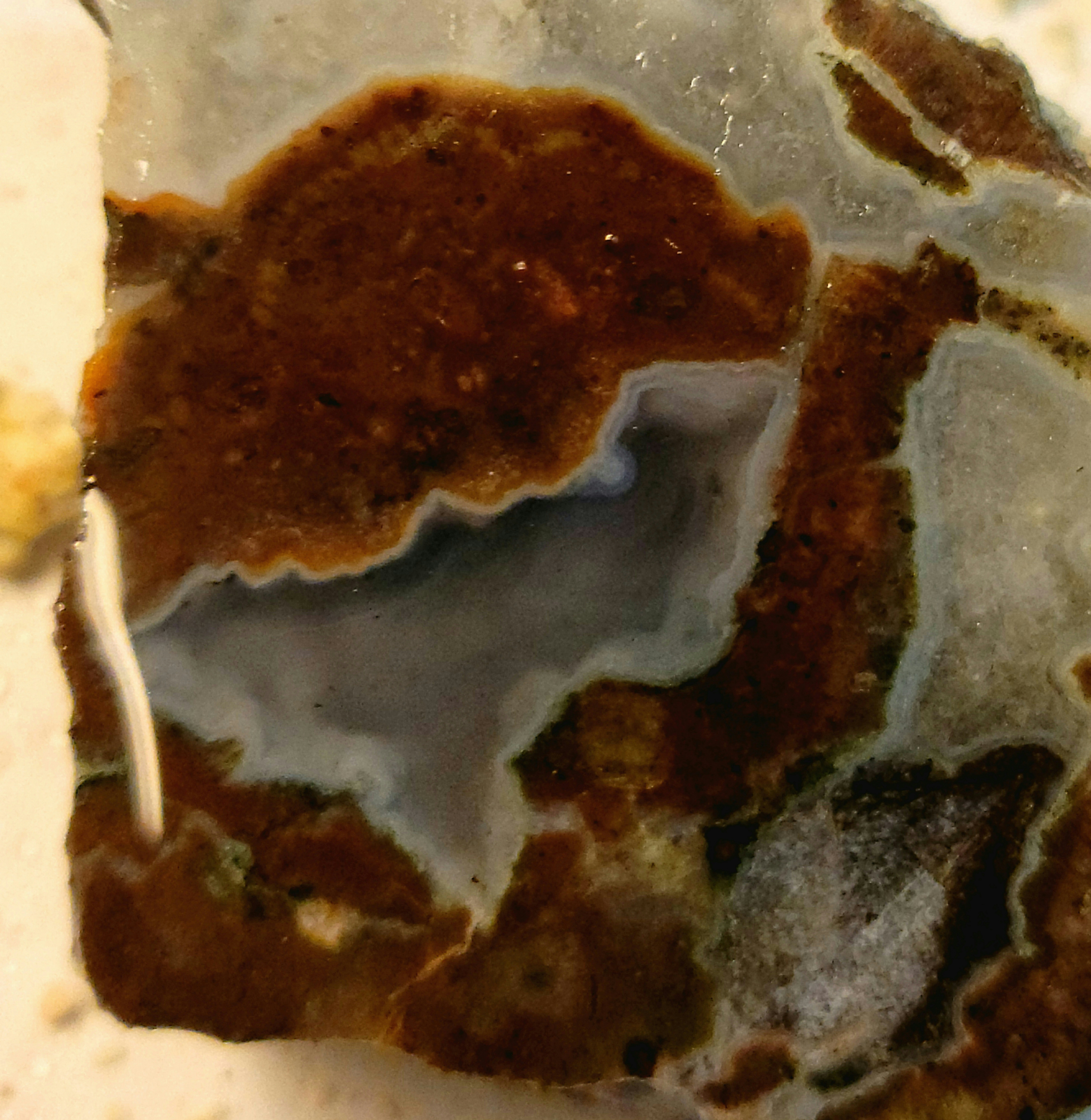 Member content 1 of 4