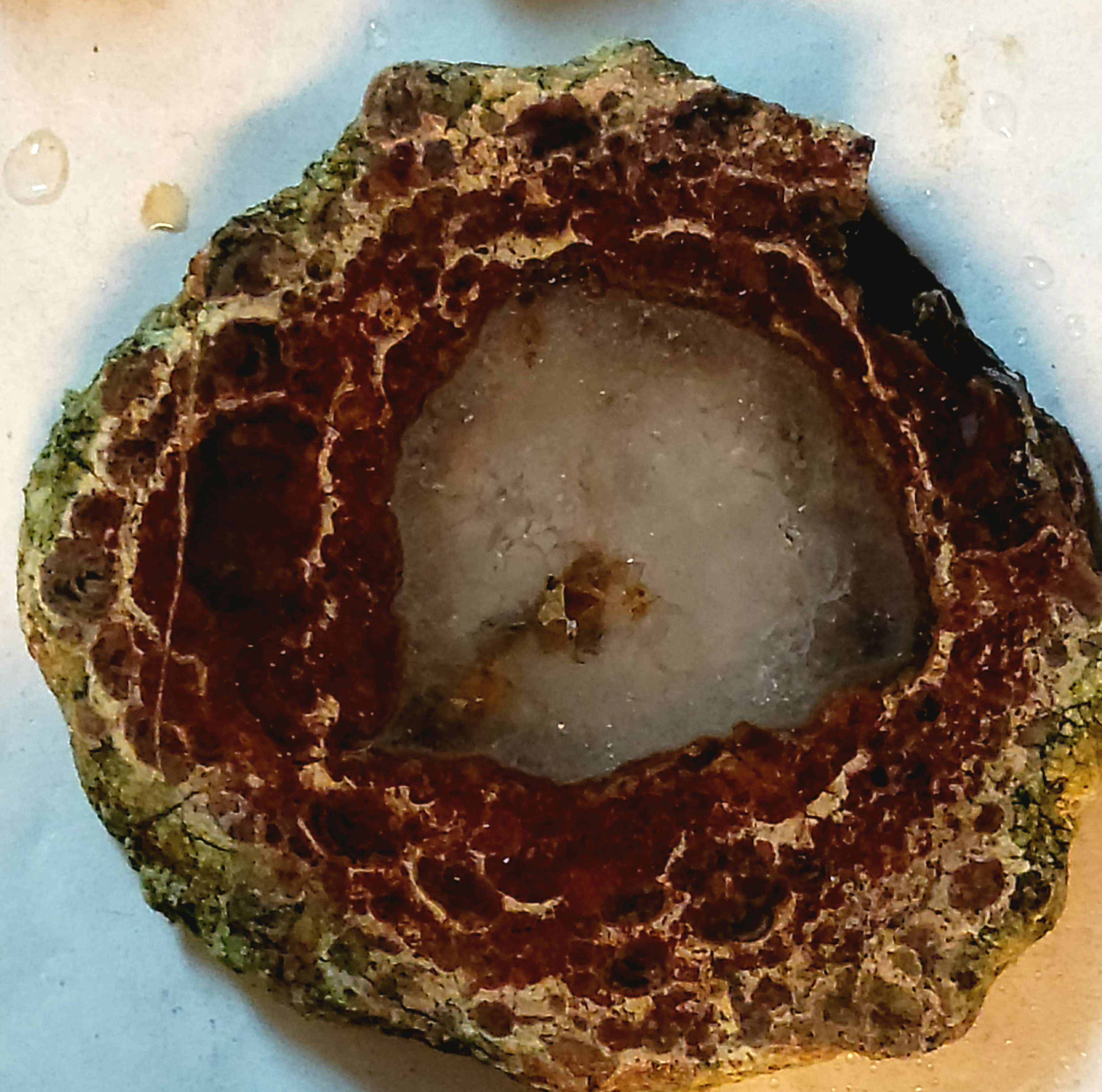 Member content 2 of 4