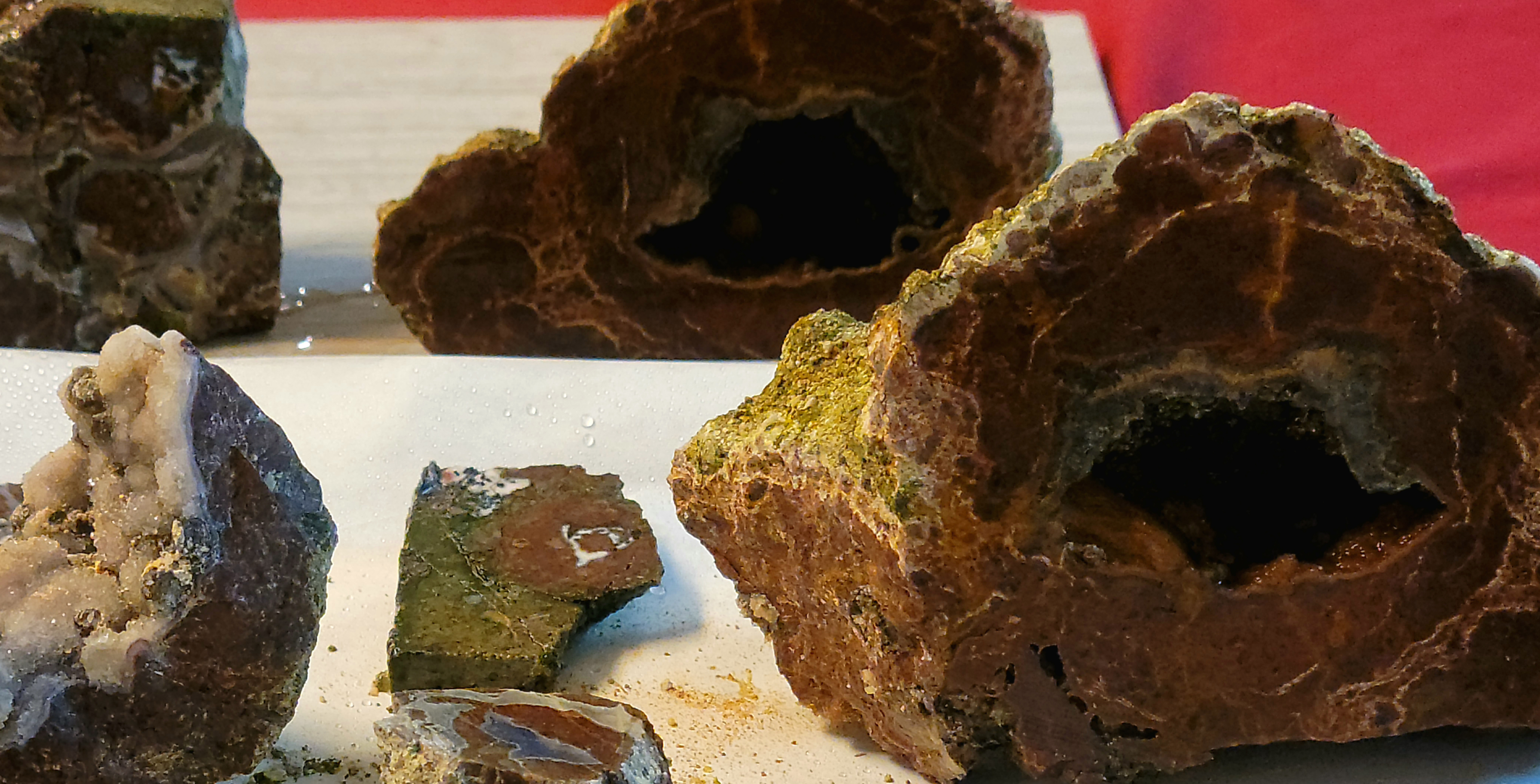 Member content 3 of 4