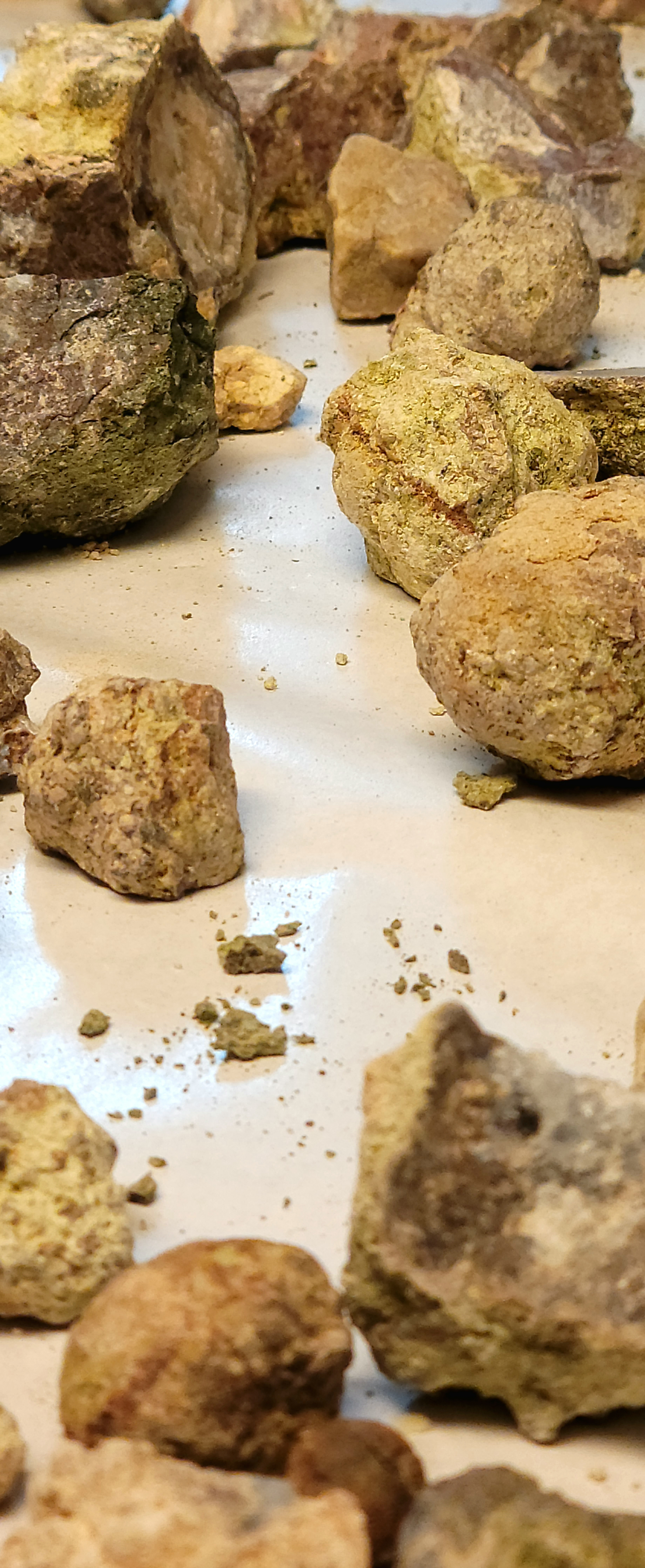 Member content 4 of 4