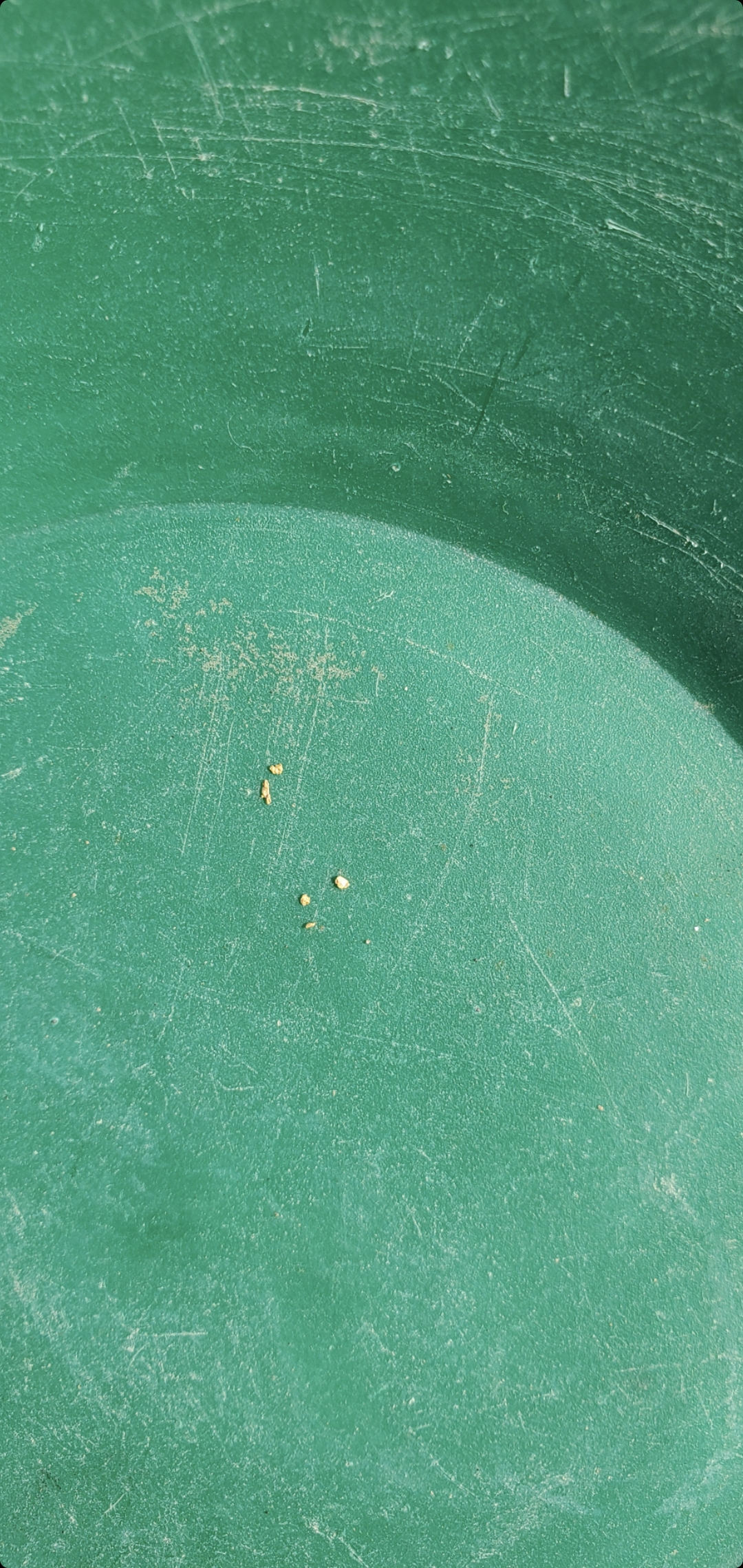 Member content 1 of 7