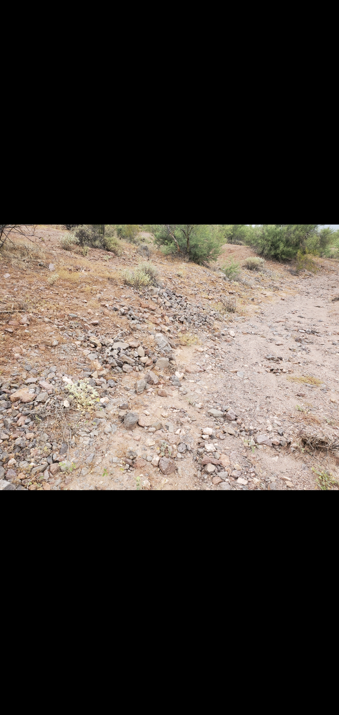 Member content 2 of 7