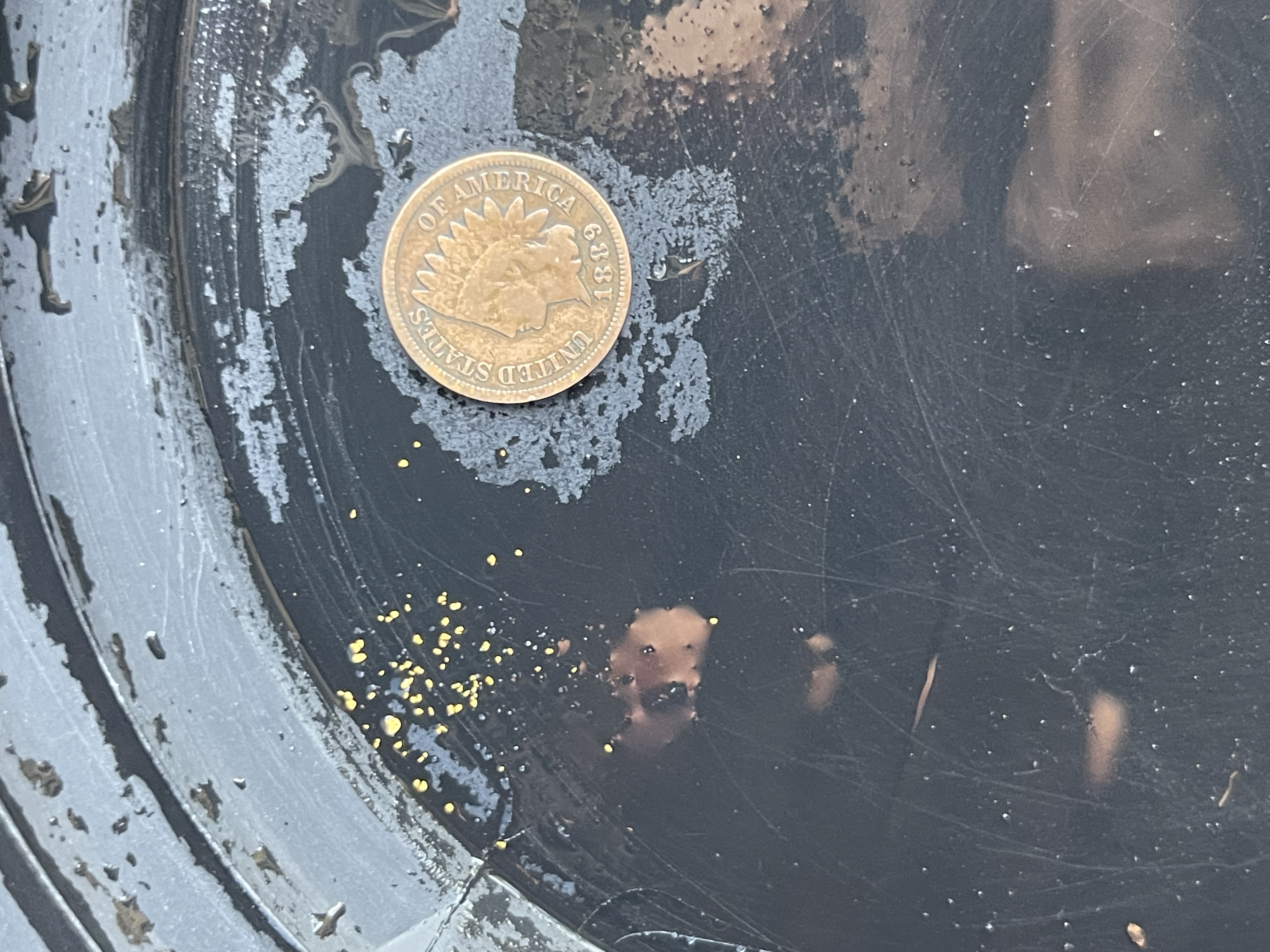 Member content 4 of 5