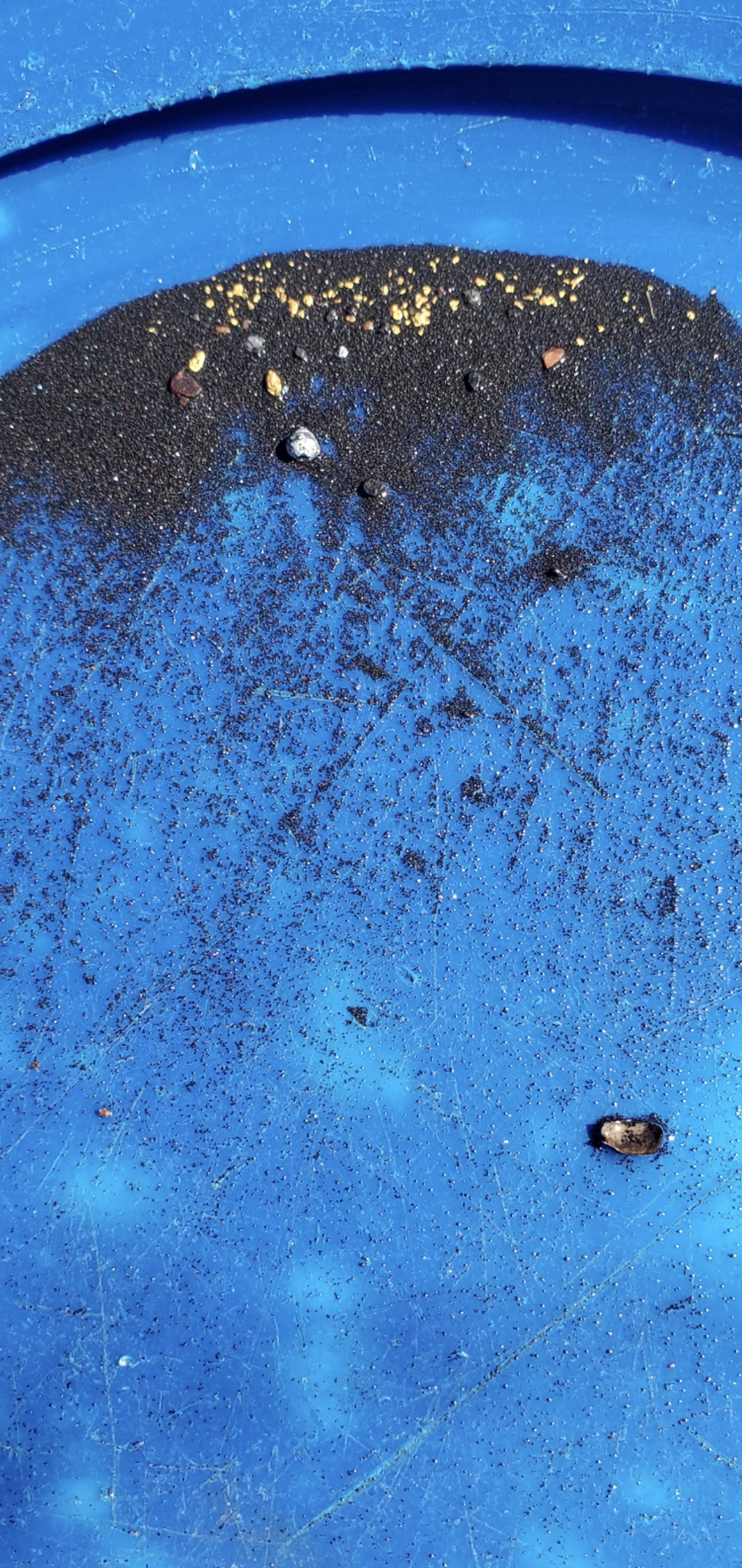 Member content 6 of 29