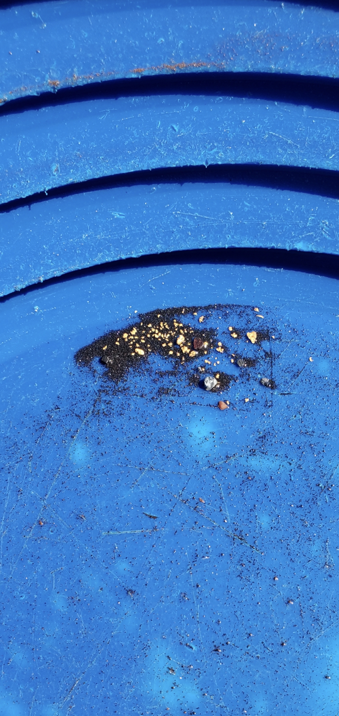 Member content 7 of 29