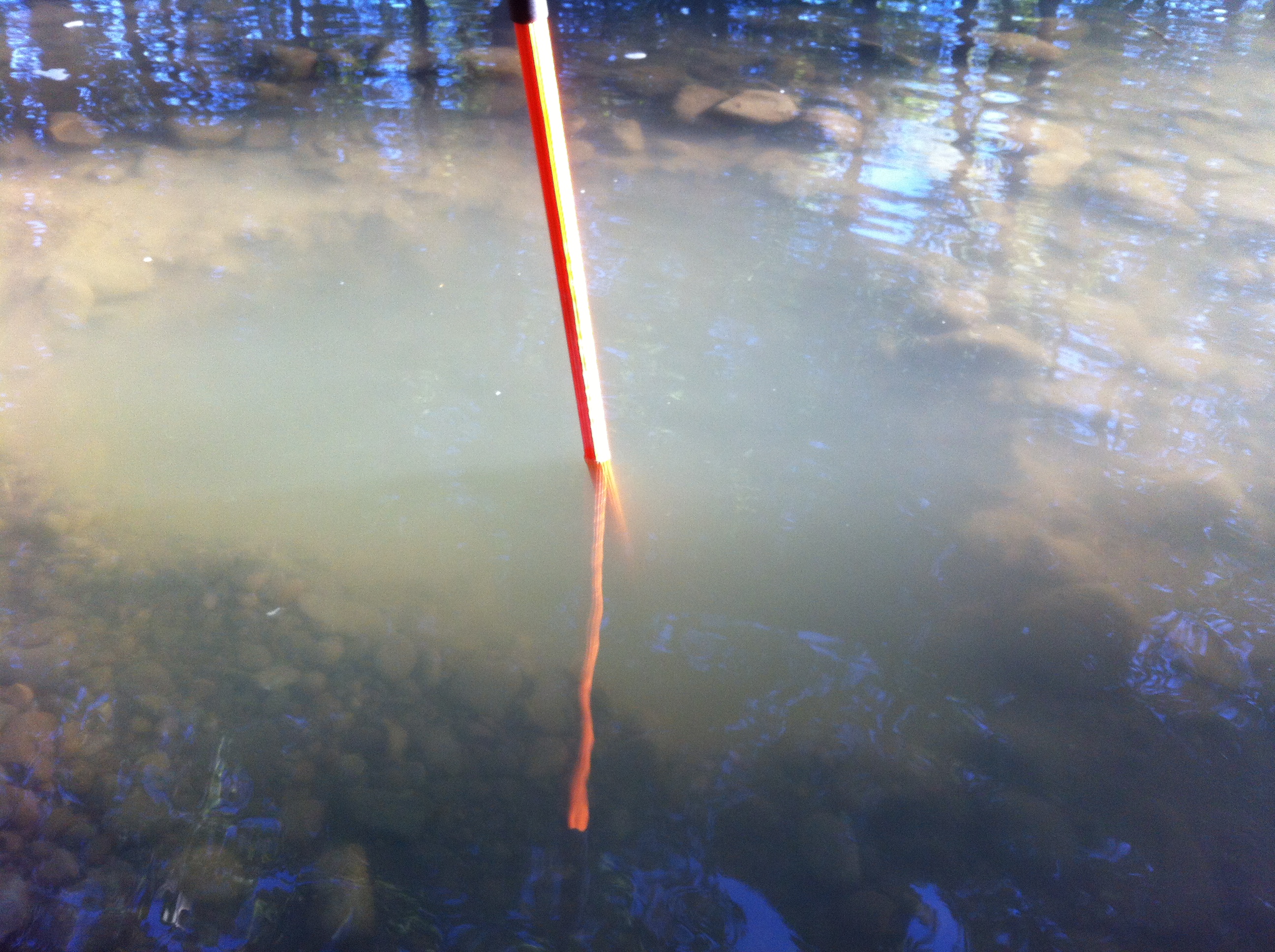 Member content 6 of 21