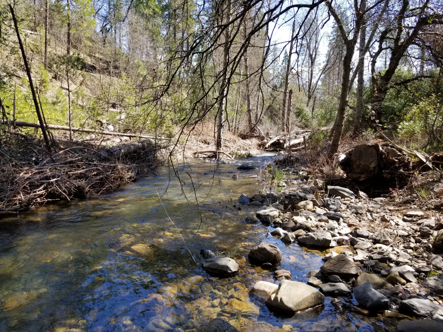 Member content 1 of 15