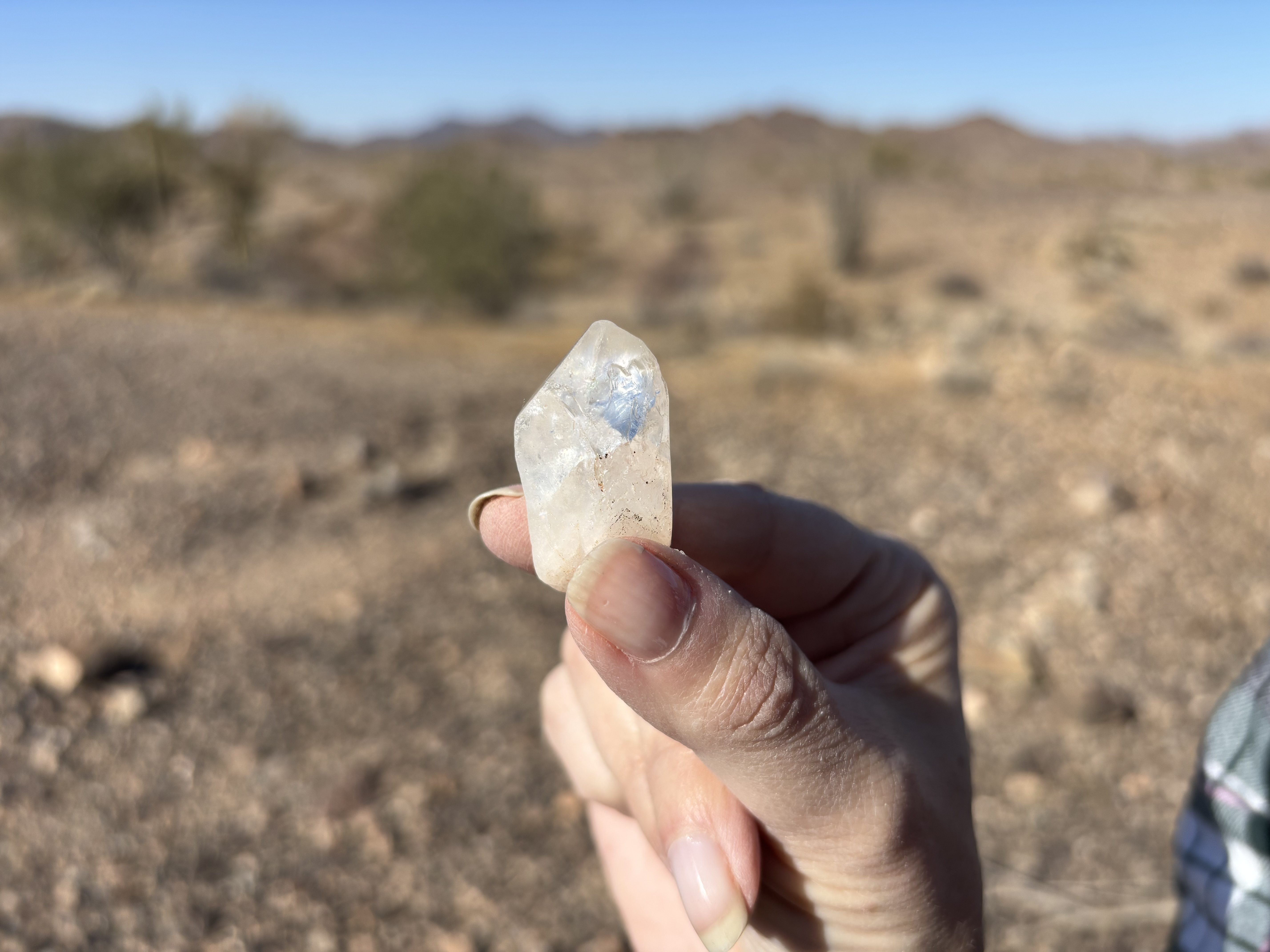 Member content 4 of 5