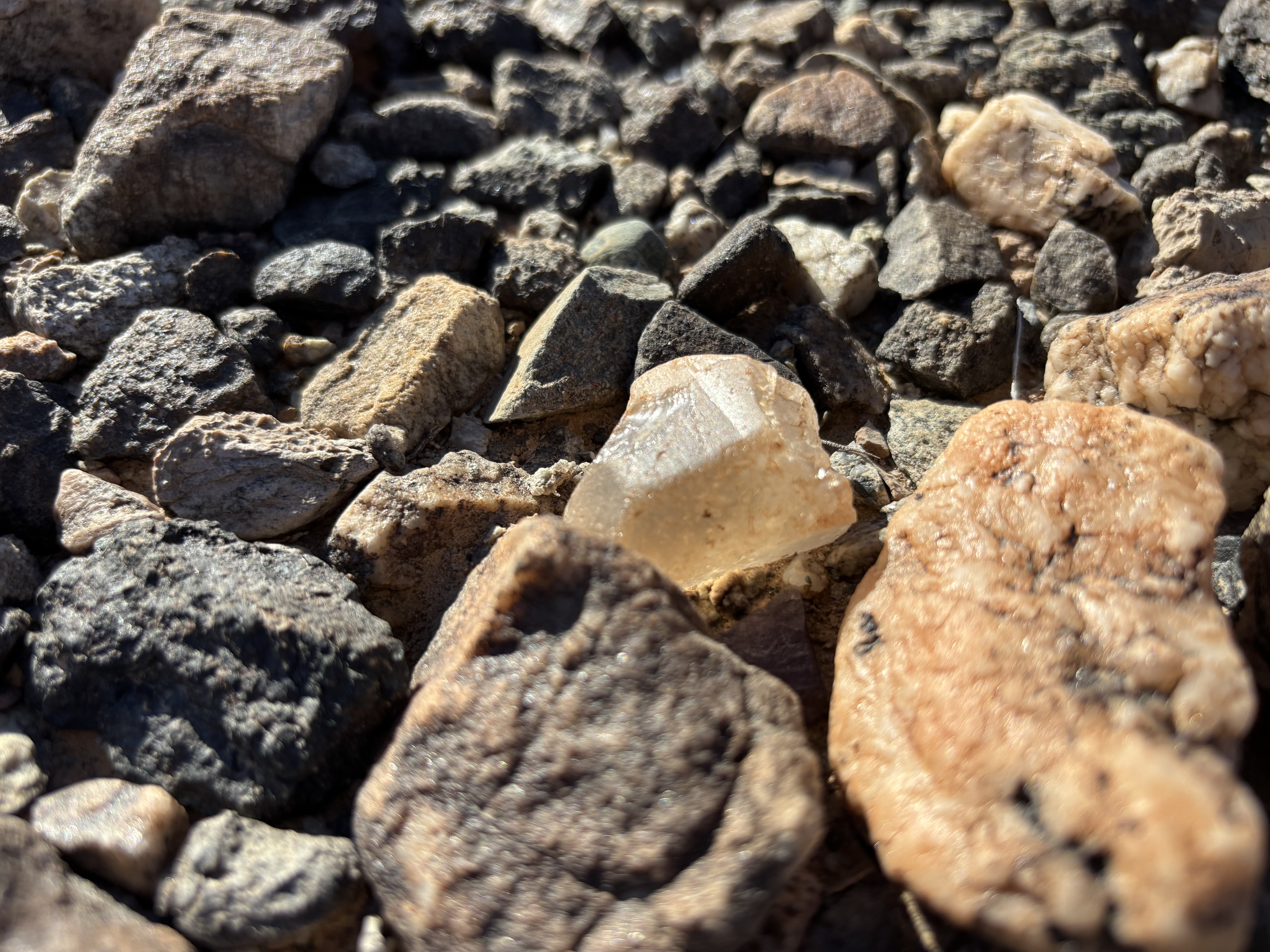 Member content 5 of 5