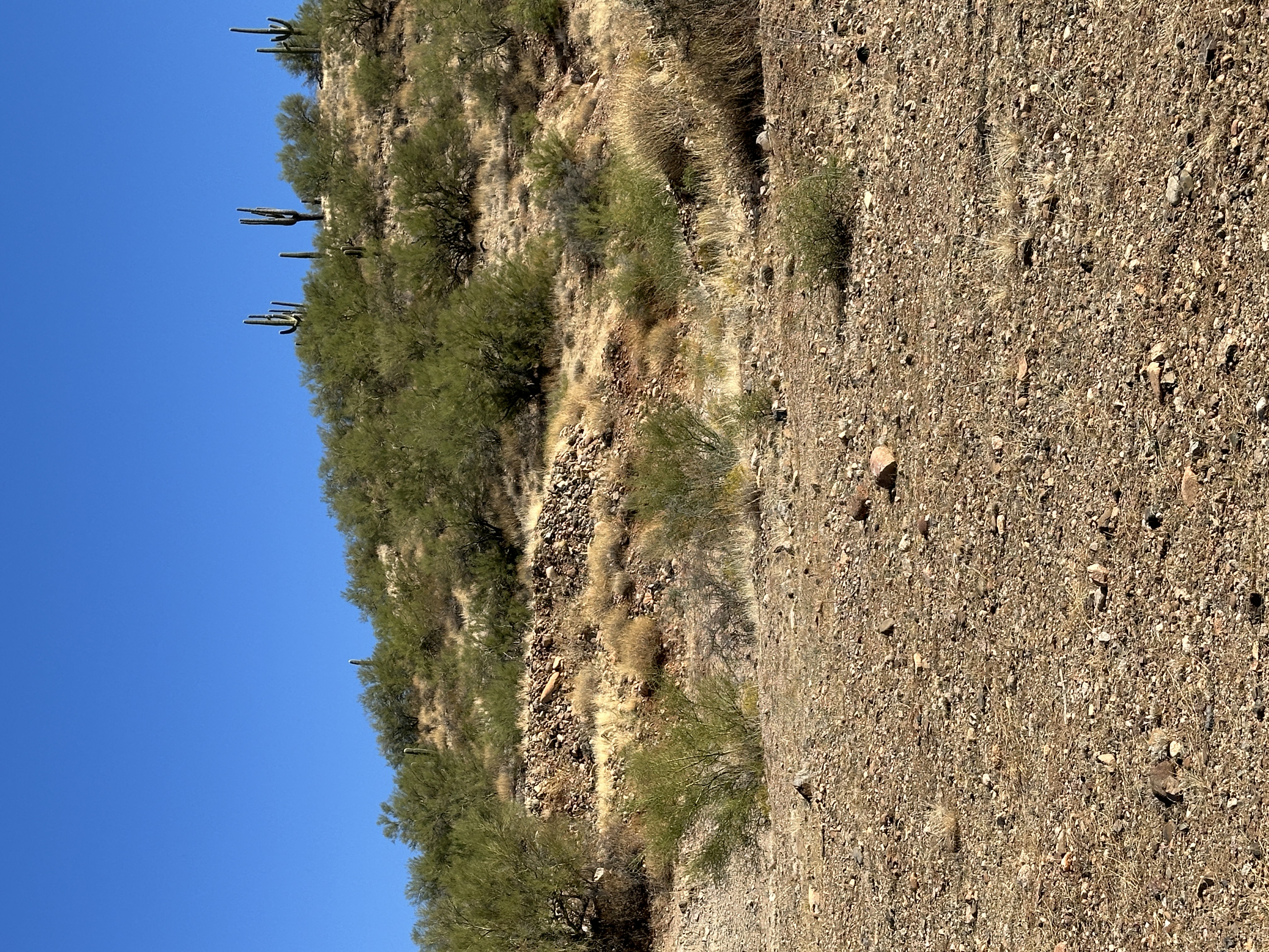 Member content 5 of 5