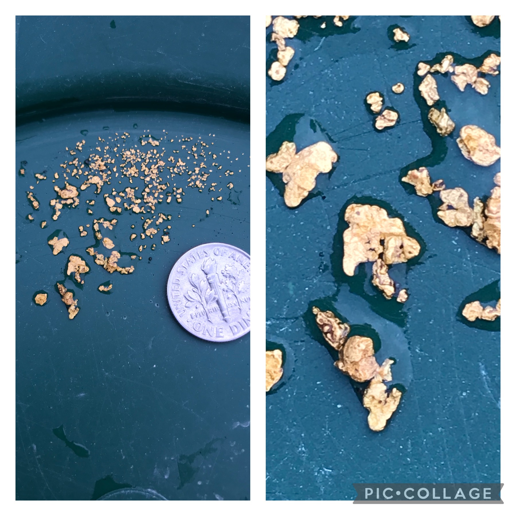 Member content 106 of 206