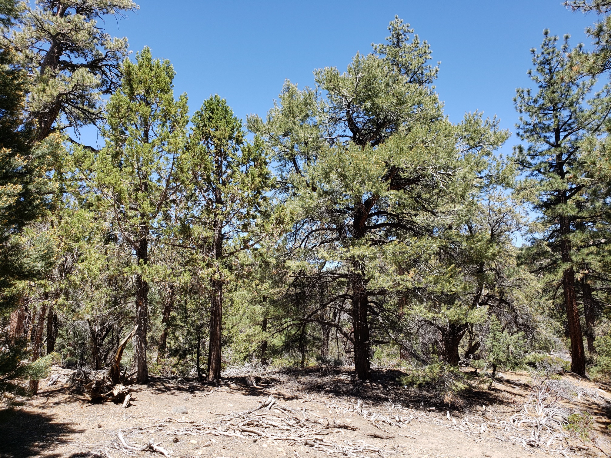 Member content 10 of 24