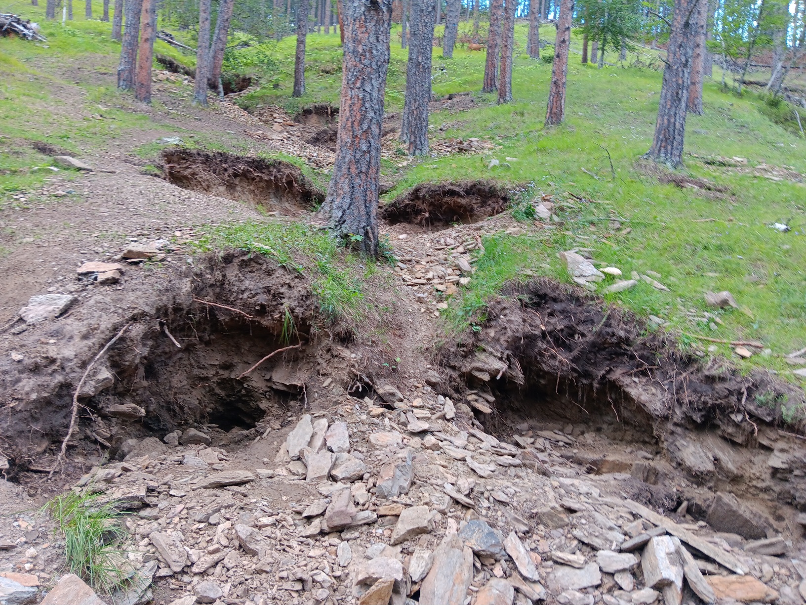 Member content 1 of 1