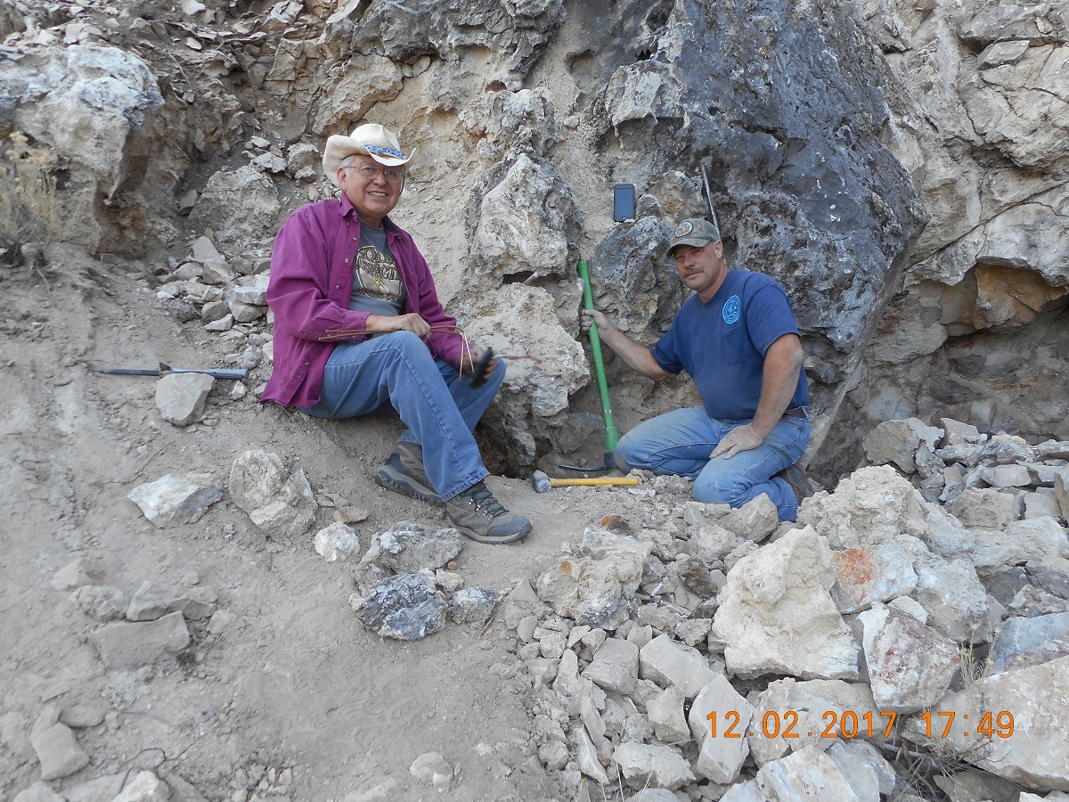 Member content 5 of 24