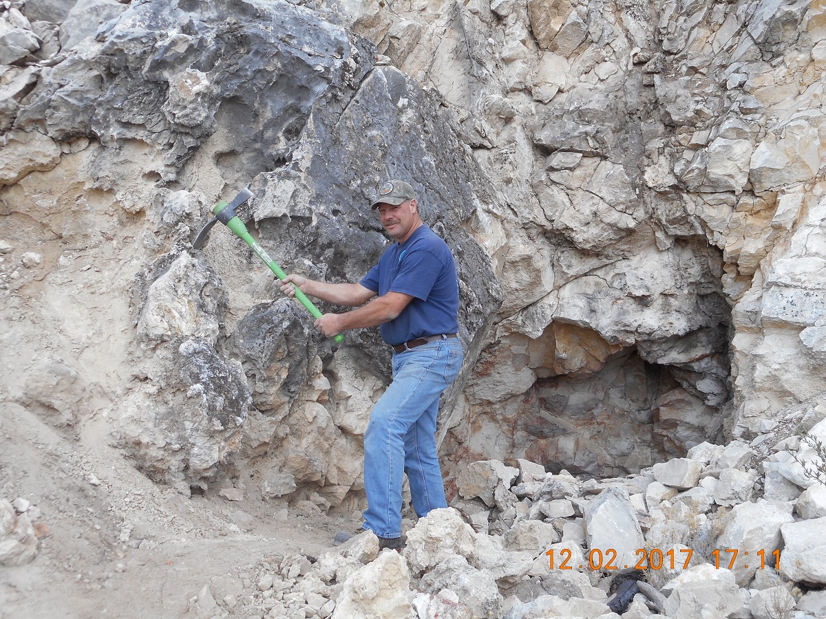 Member content 6 of 24