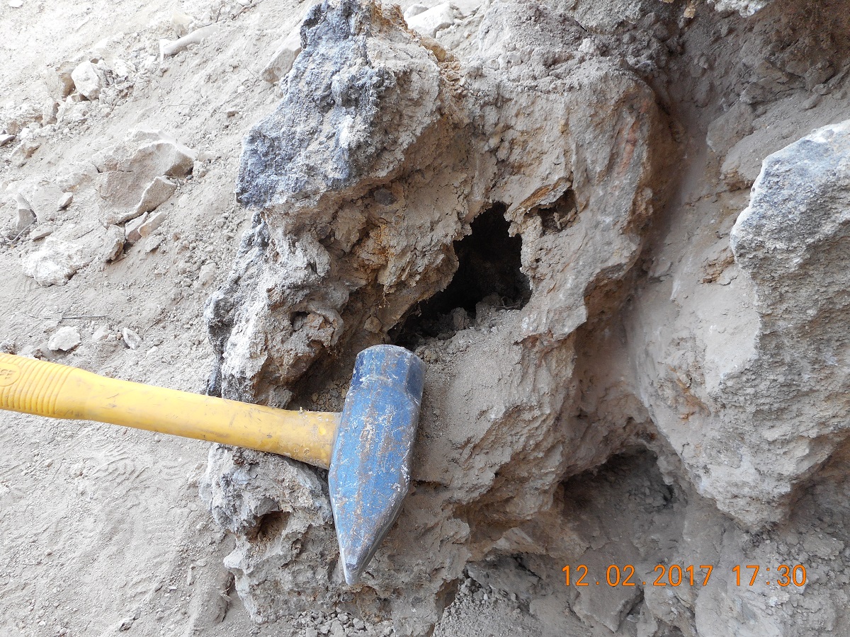 Member content 7 of 24