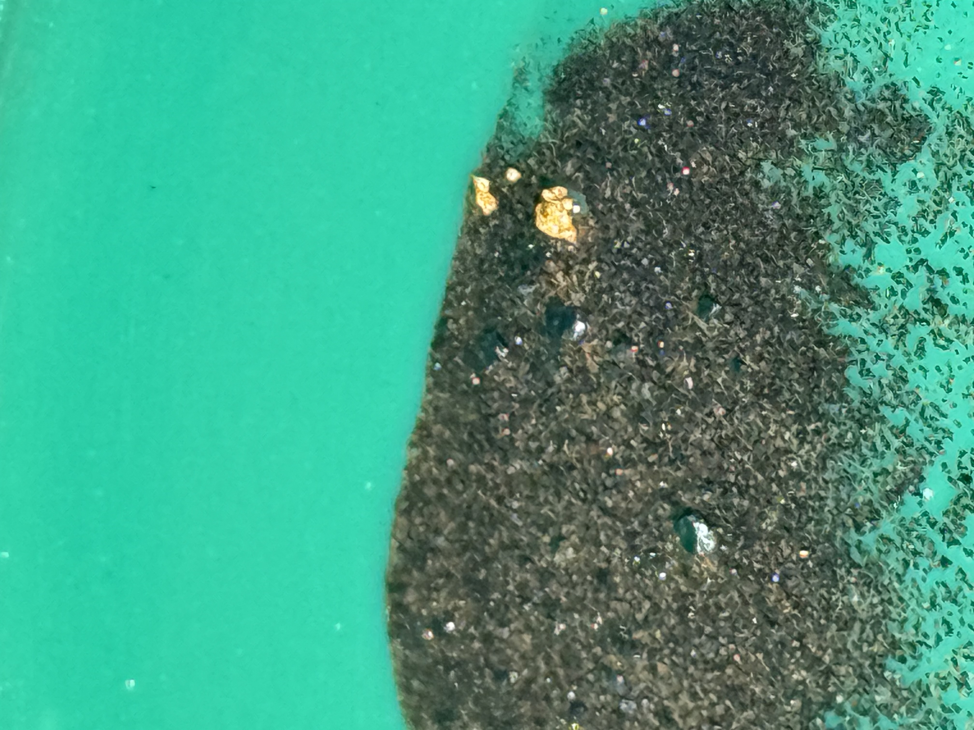 Member content 7 of 12