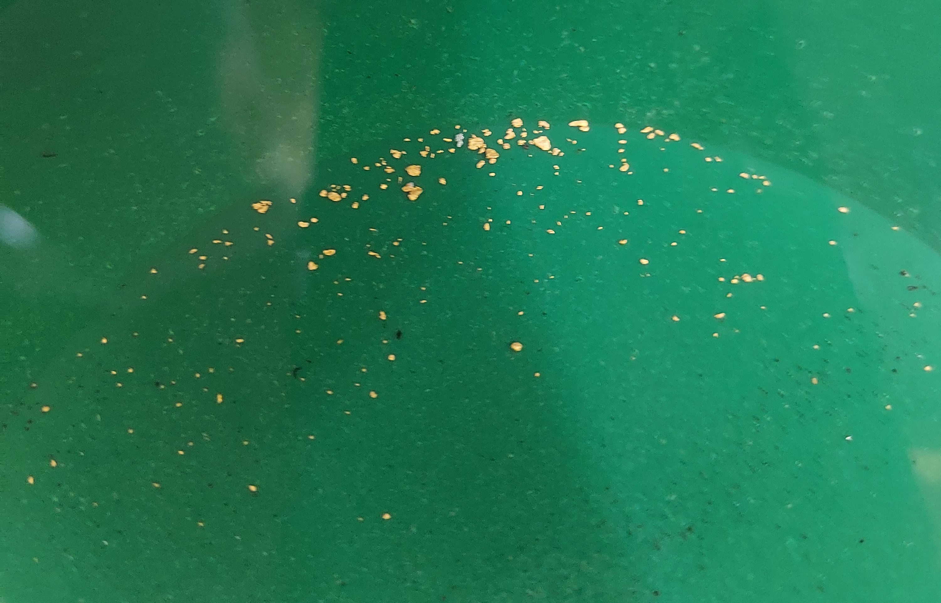 Member content 5 of 9