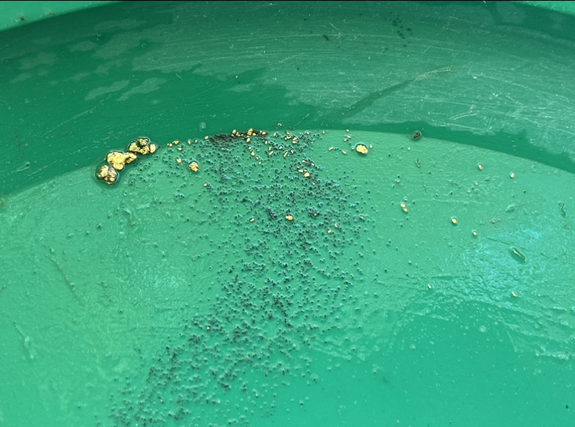 Member content 73 of 97