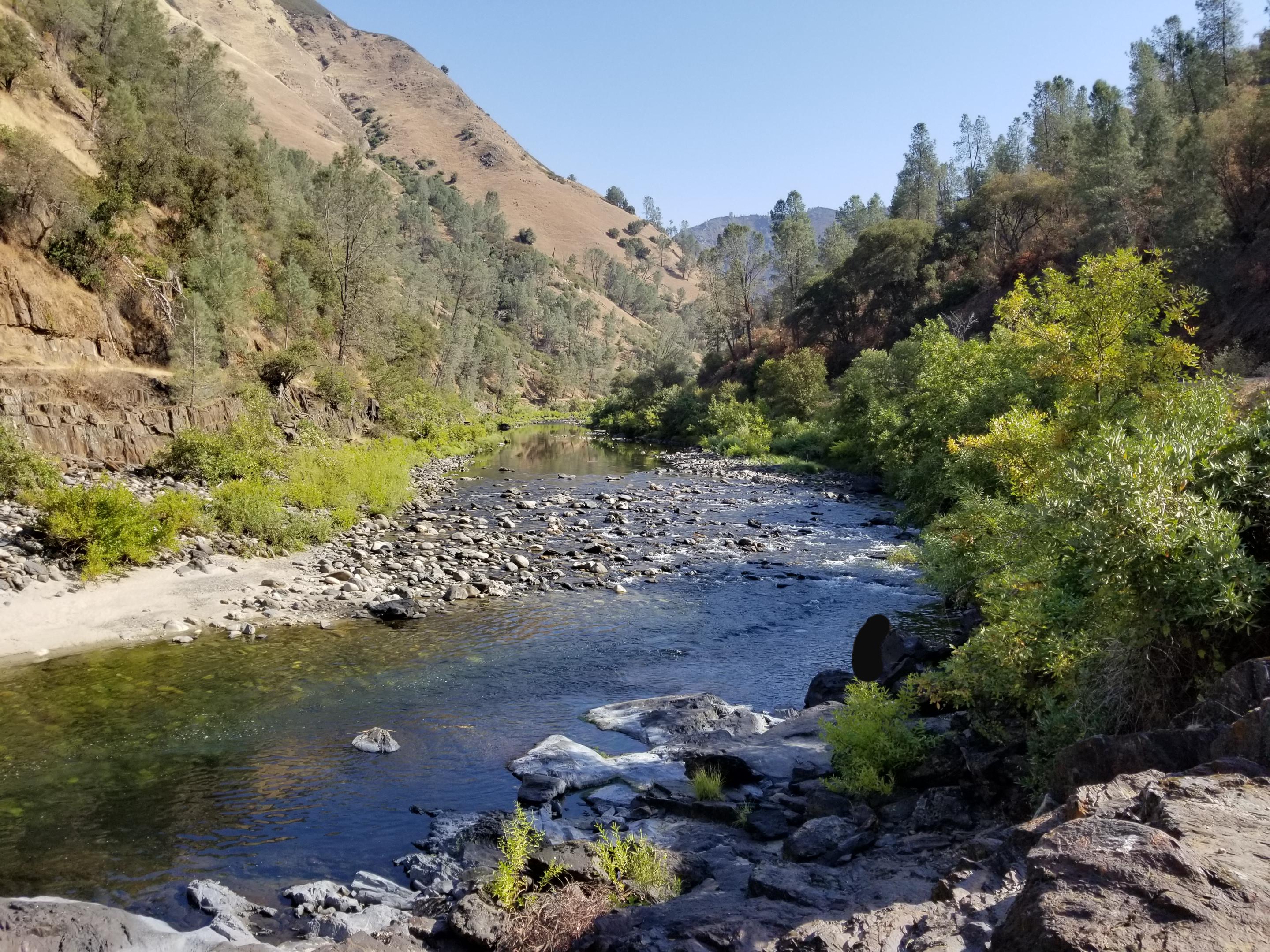 Member content 1 of 6