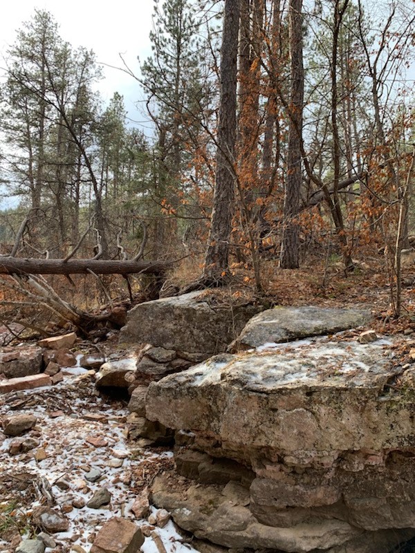 Member content 2 of 8