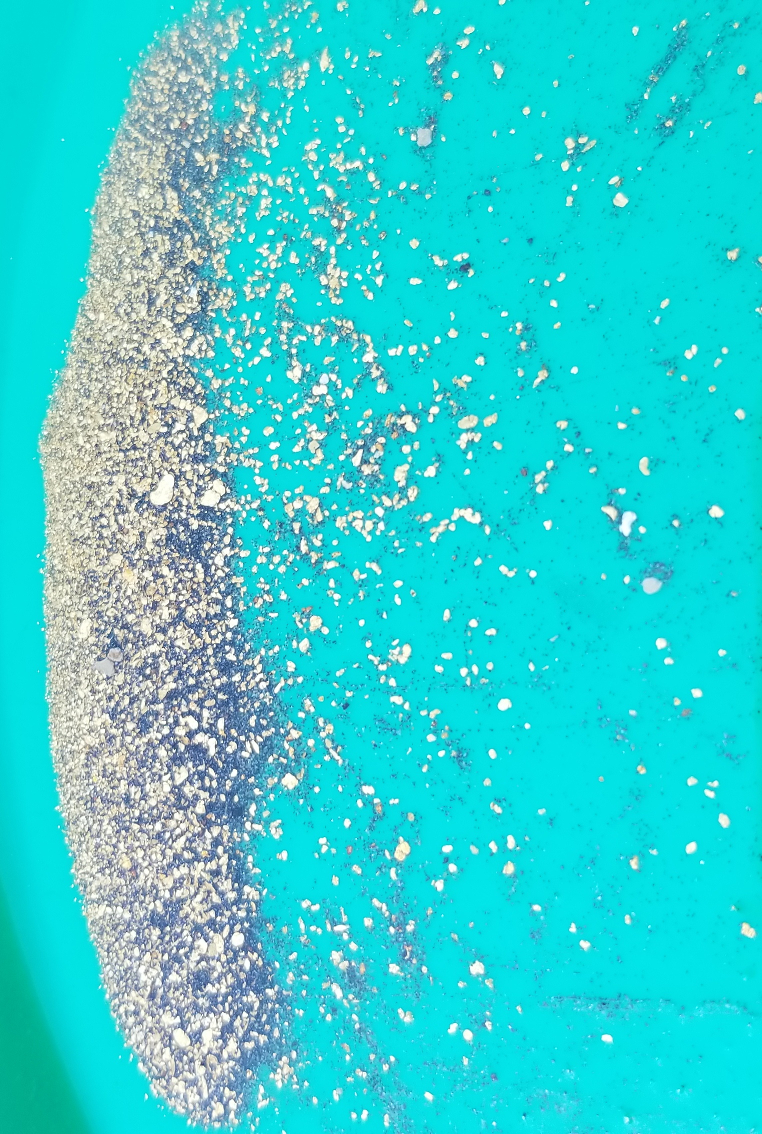 Member content 7 of 42