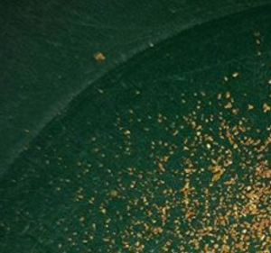 Member content 16 of 42