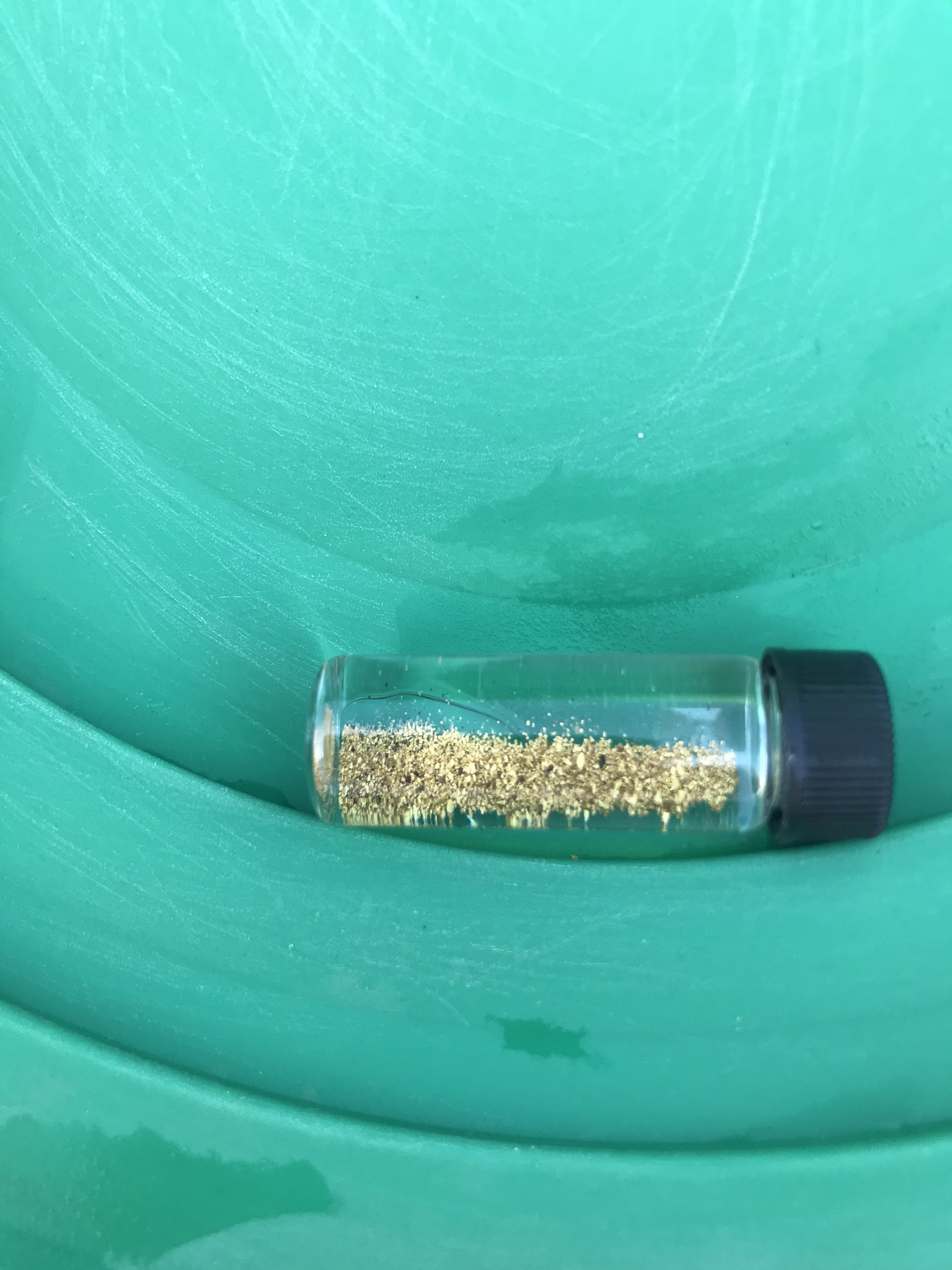 Member content 22 of 24